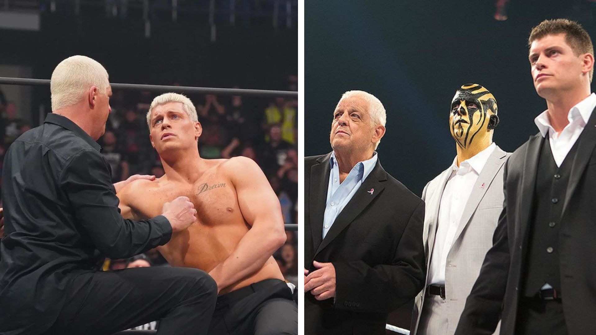 Diving into the mother of Dustin and Cody Rhodes