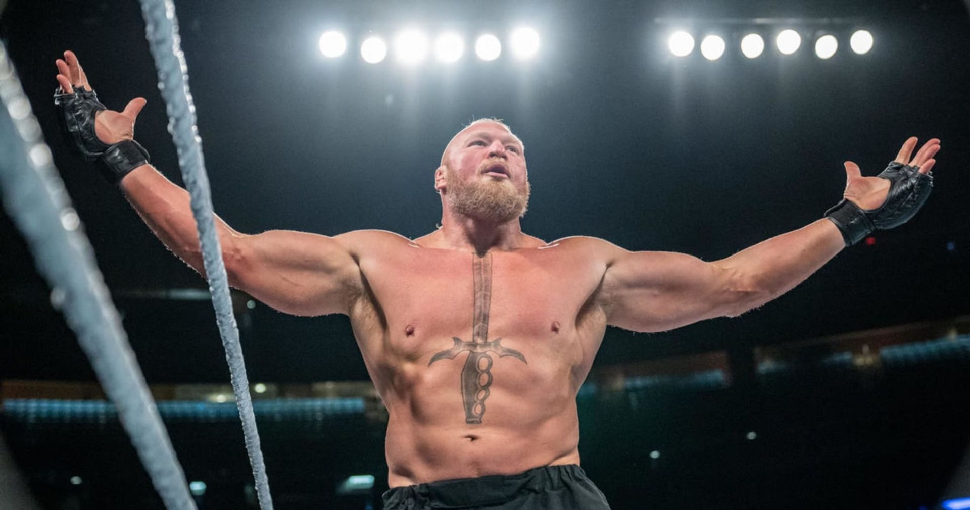 Brock Lesnar is the highest-paid wrestler in the world 