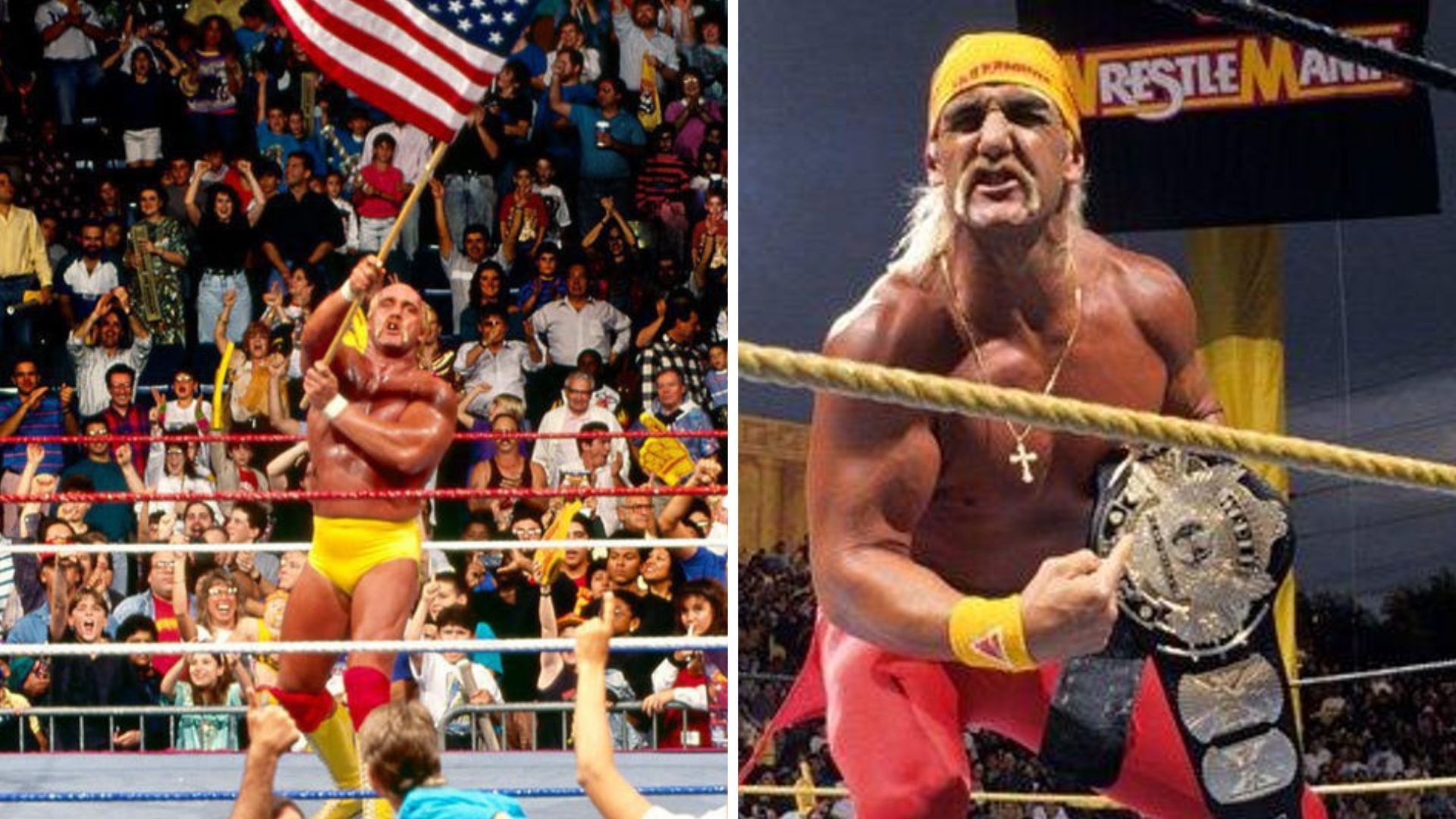 WWE legend unintentionally dropped a hint on Hulk Hogan