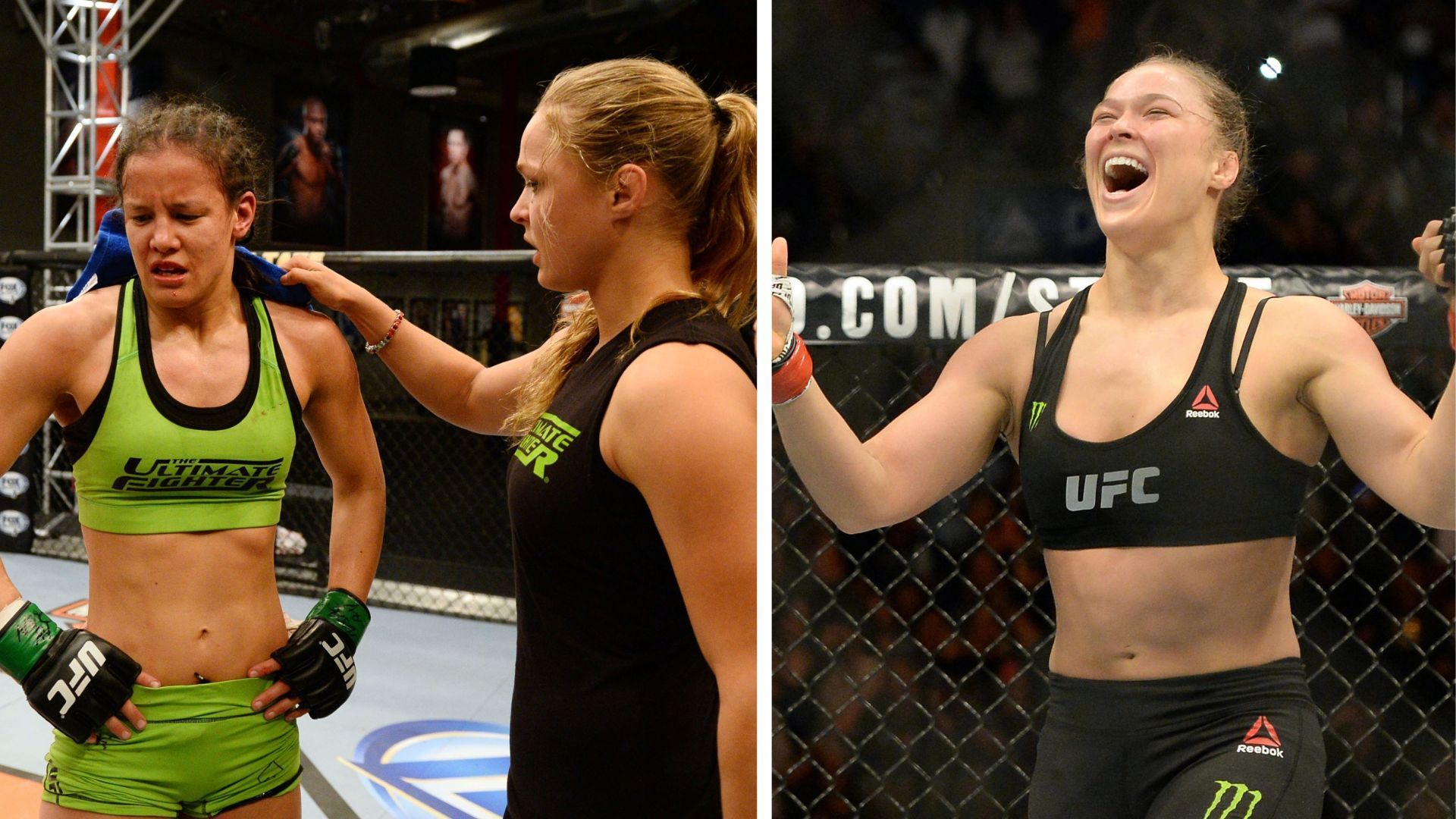 Ronda Rousey and Shayna Baszler never fought each other in the UFC