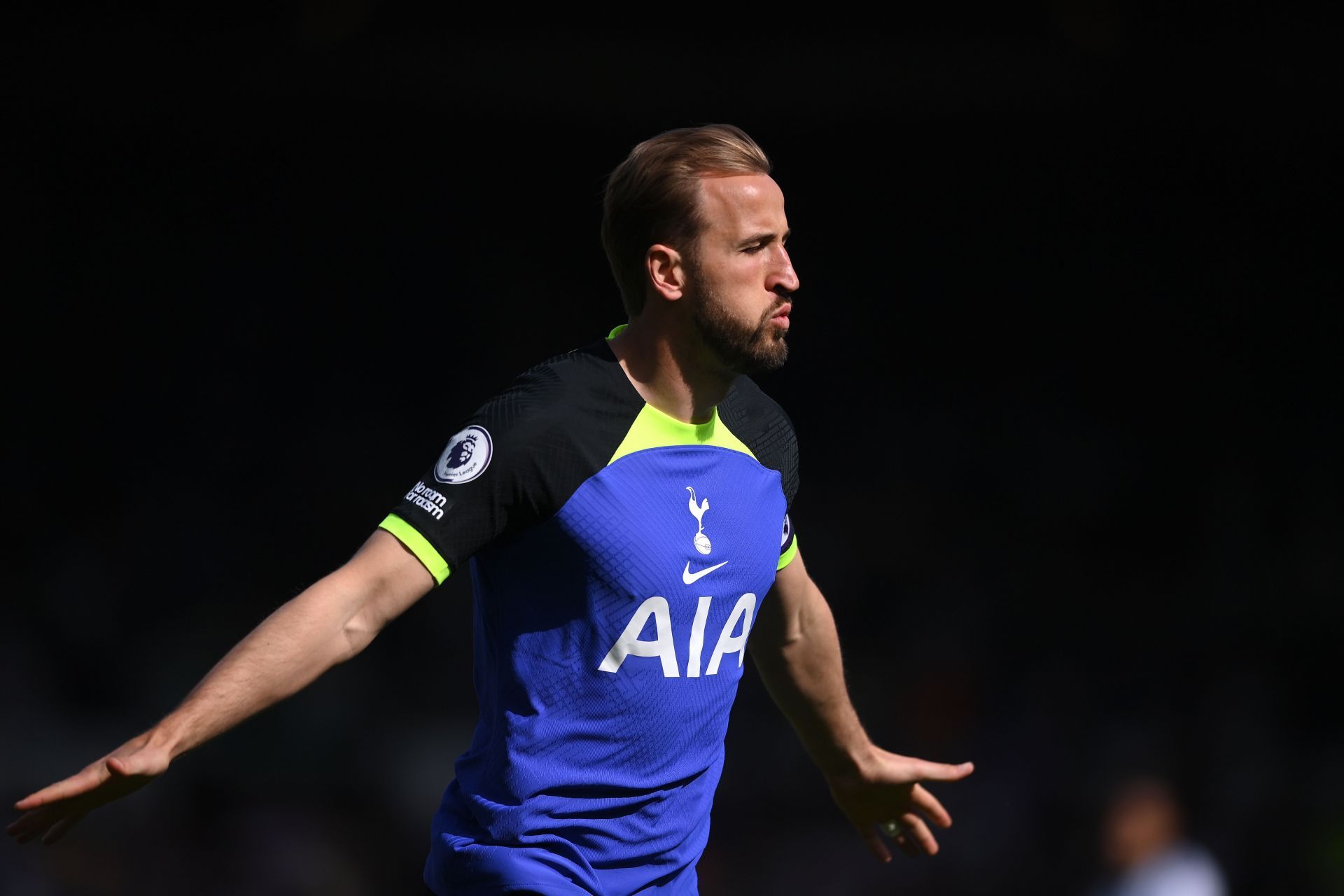 Harry Kane is just 47 goals behind Alan Shearer&#039;s Premier League record