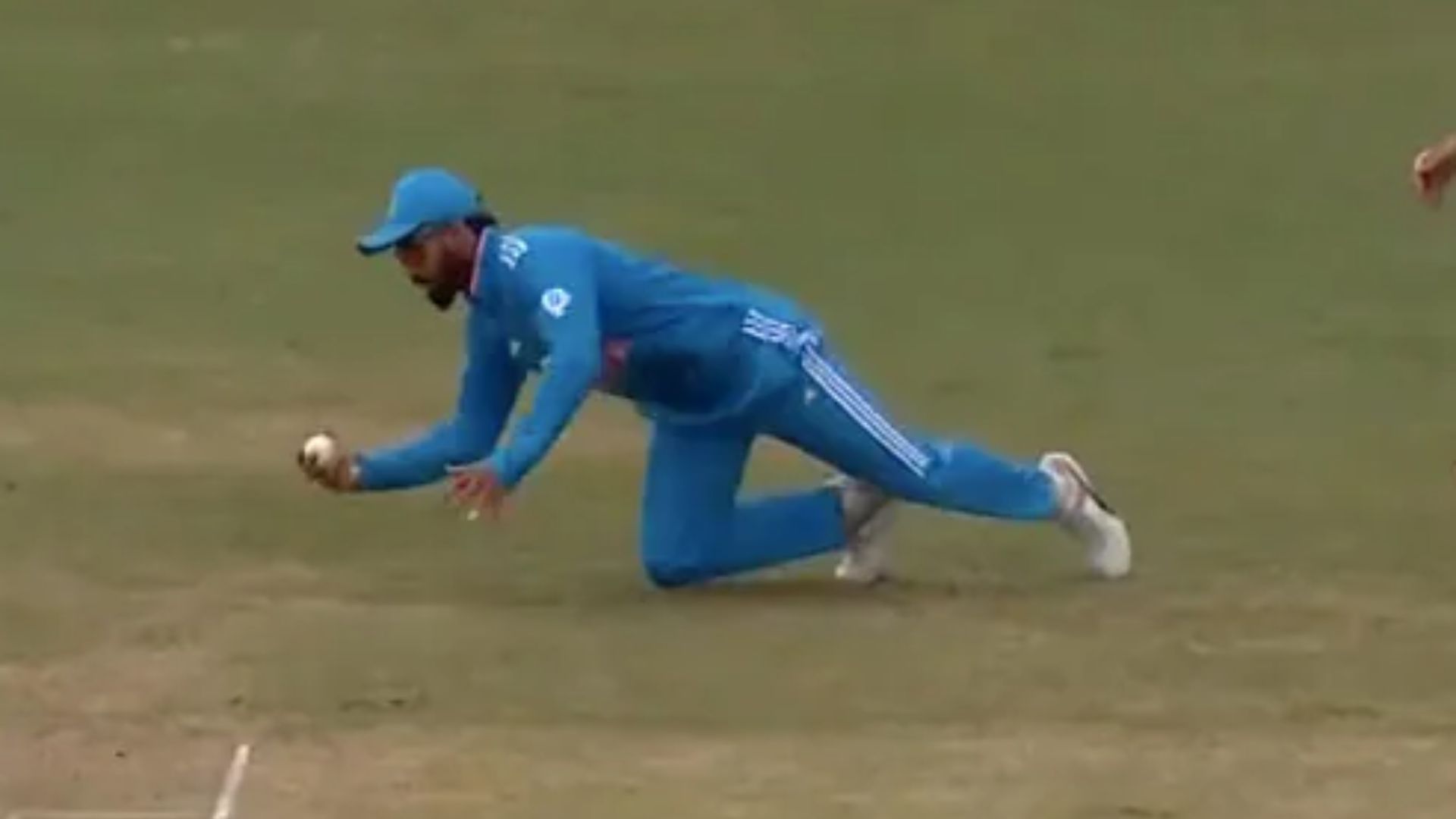 Kohli took a stunning catch to dismiss Shepherd off Jadeja