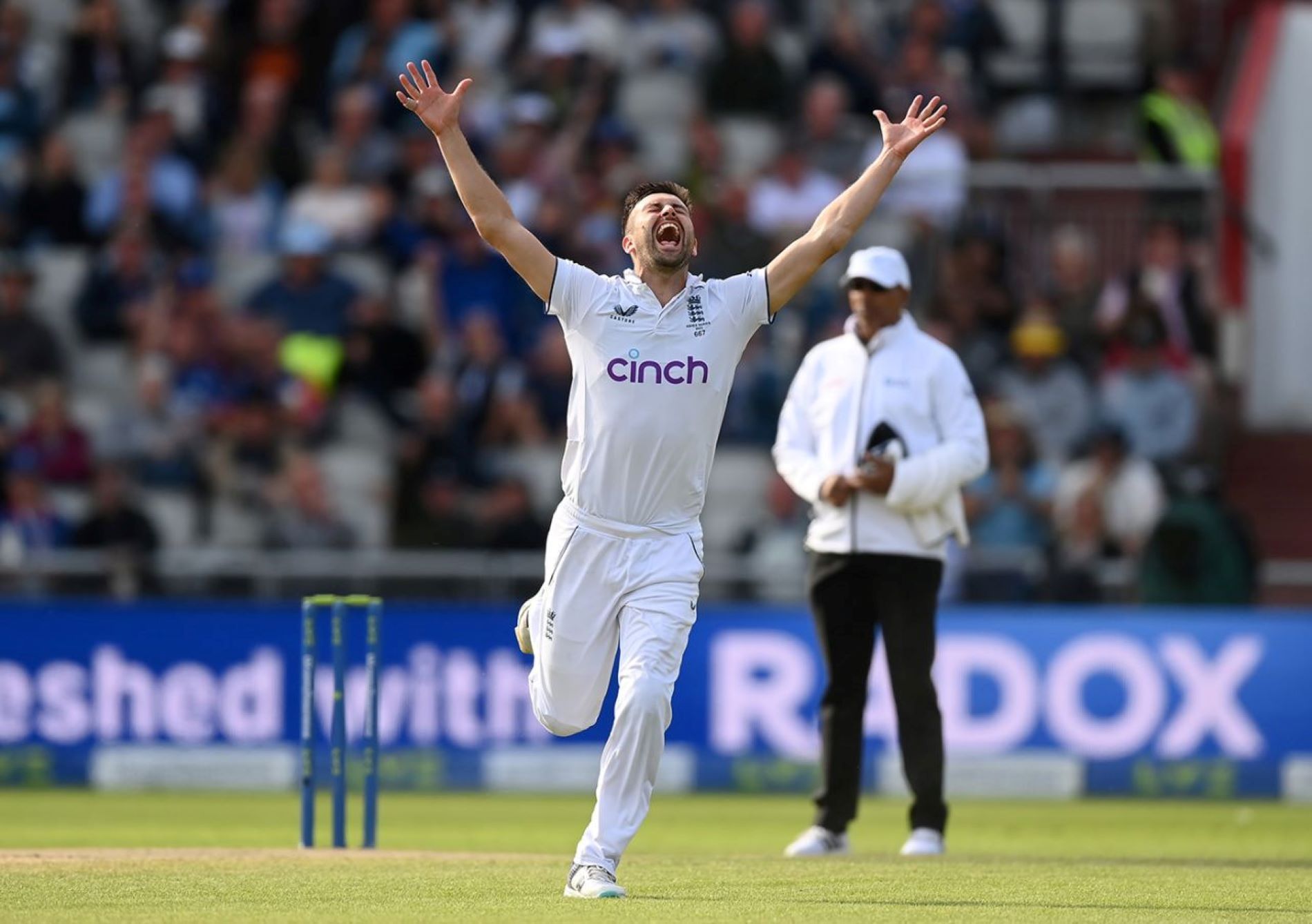 Mark Wood dismissed Steve Smith for a second time in the Test.