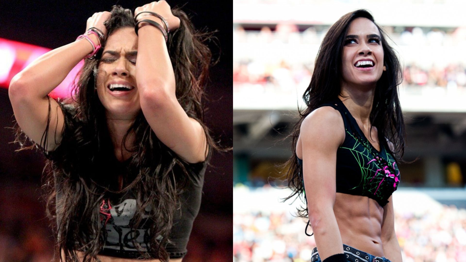 Former WWE Divas Champion AJ Lee