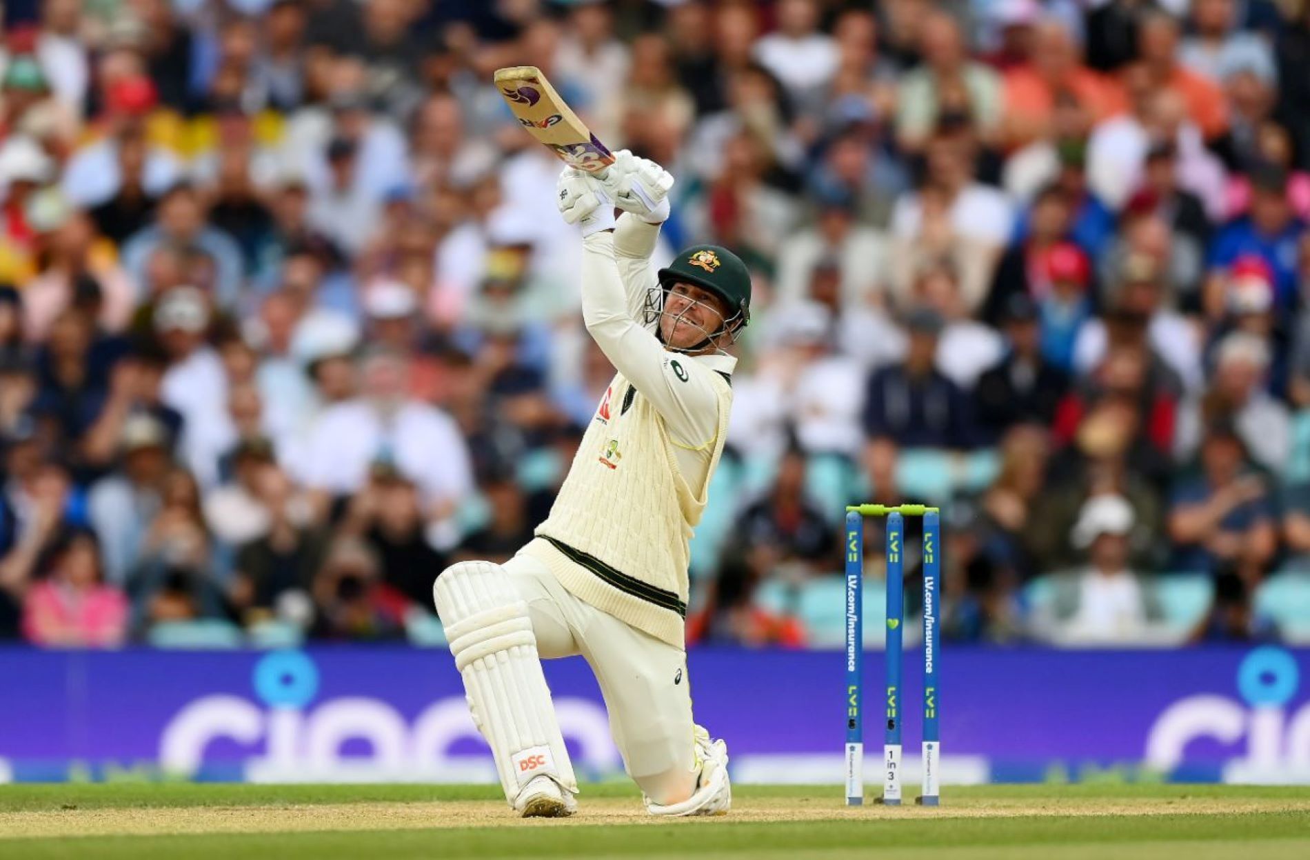 David Warner played arguably his best Test knock of the year on Day 4 at the Oval