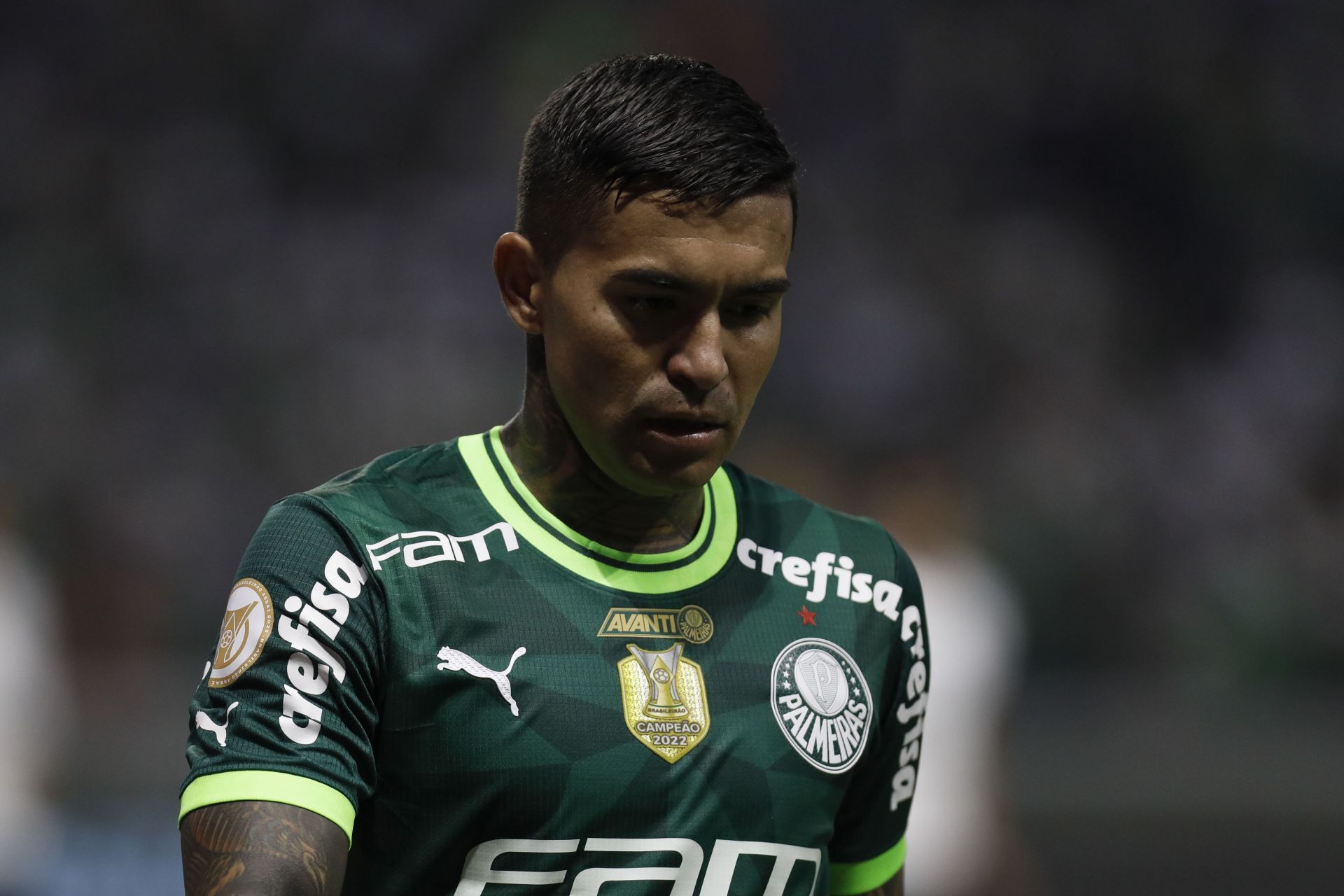 Palmeiras v Botafogo - Brasileirao 2023