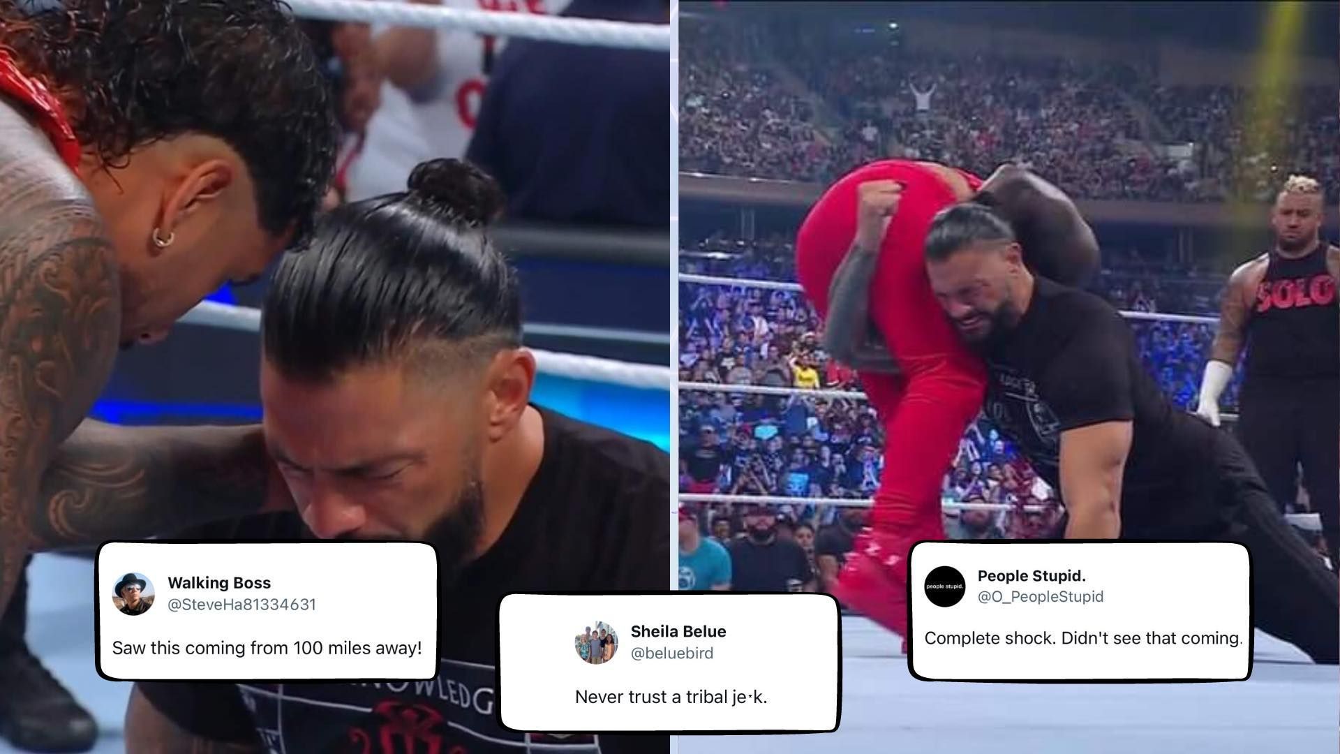 WWE fans went crazy after Roman Reigns betrayed his cousin on TV.