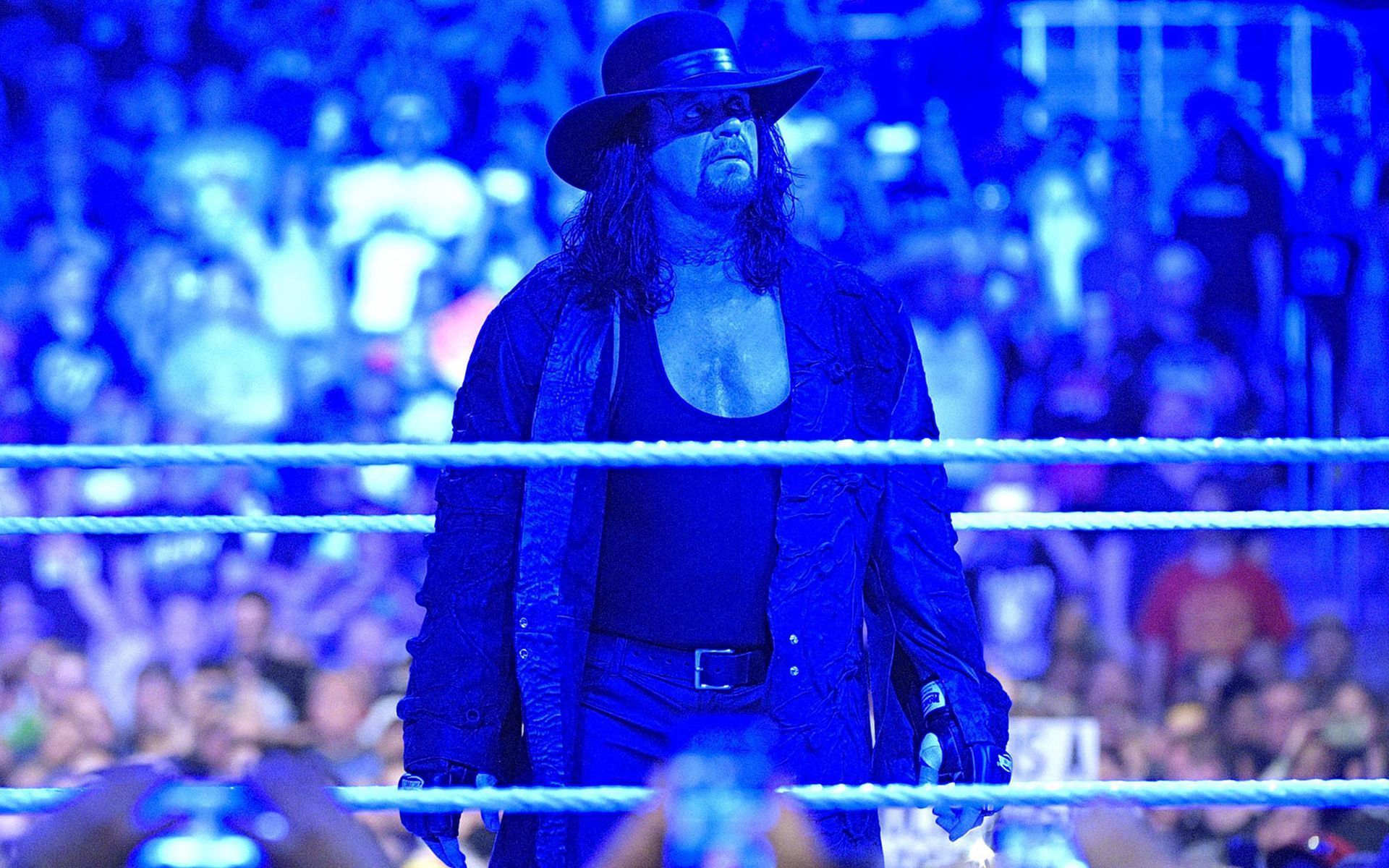 The Undertaker is a WWE Hall of Famer