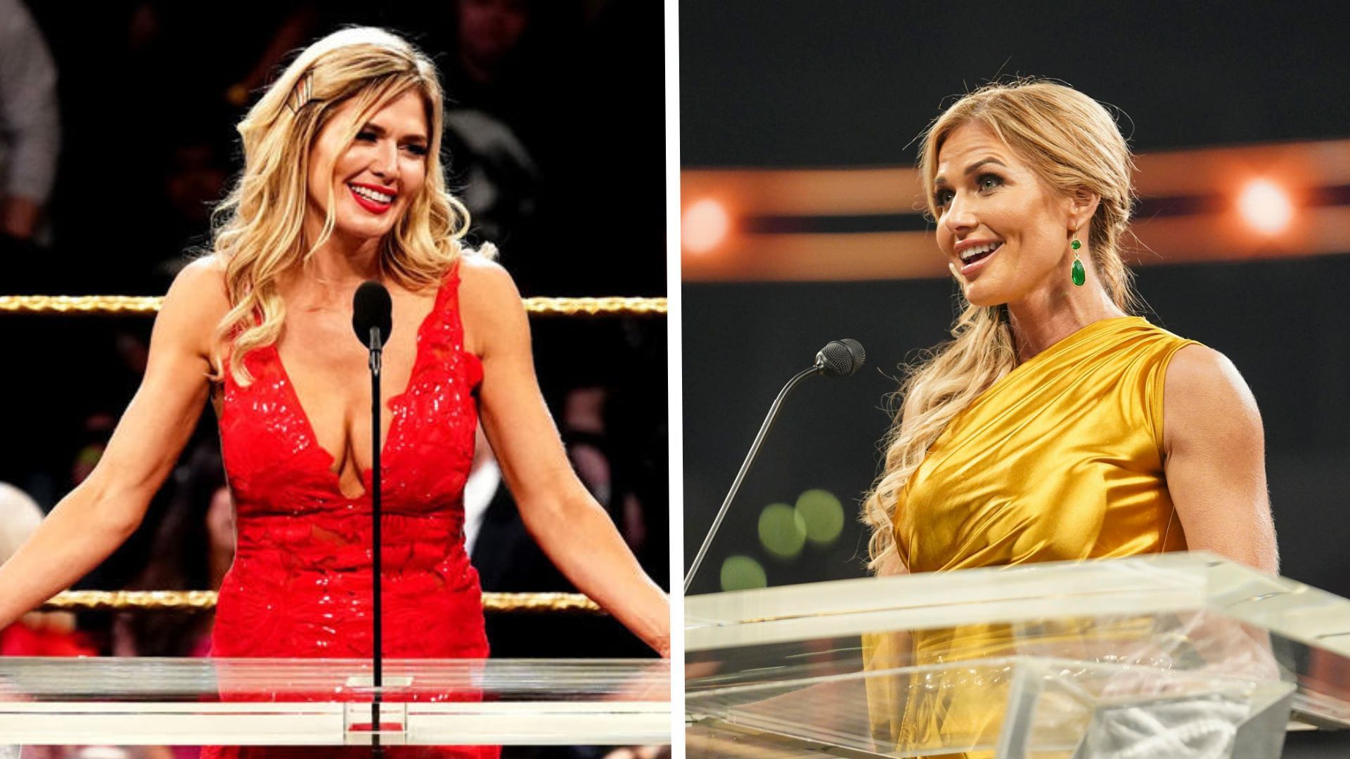 Torrie Wilson at the 2019 and 2023 Hall of Fame