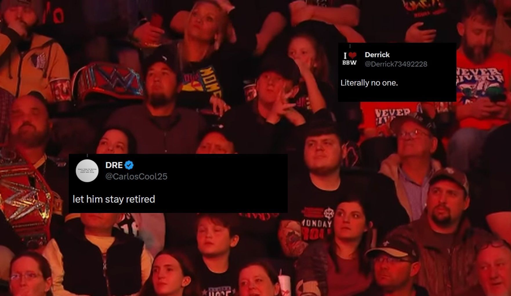 WWE fans don