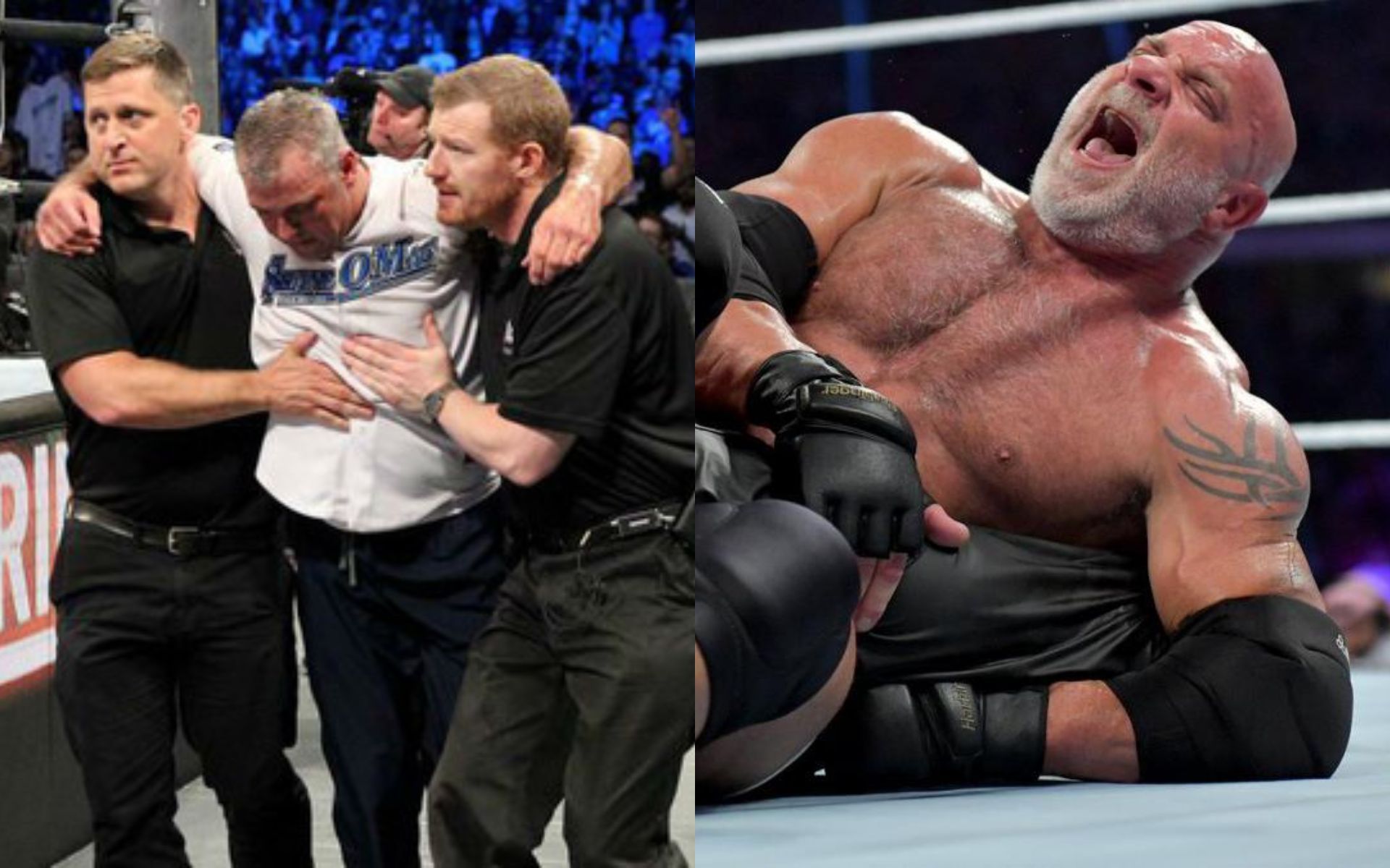 Shane McMahon at Survivor Series 2016 (L); Goldberg at WWE Super Show Down (R)w