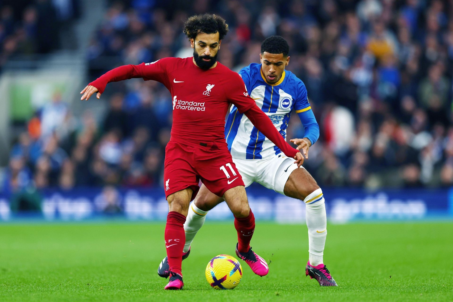 Brighton & Hove Albion v Liverpool FC - Premier League