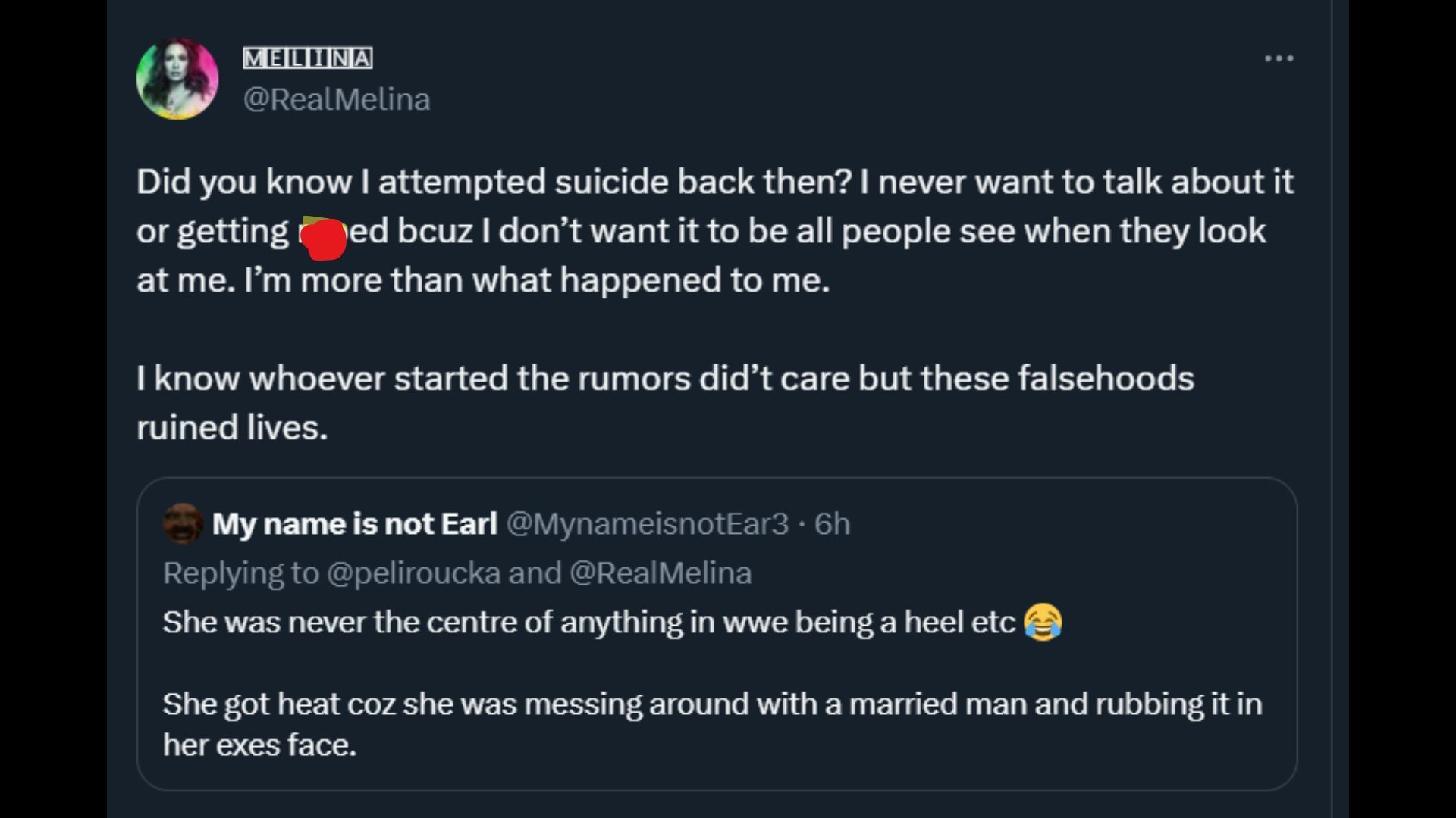 Screengrab of Melina&#039;s tweet about her suicide attempt