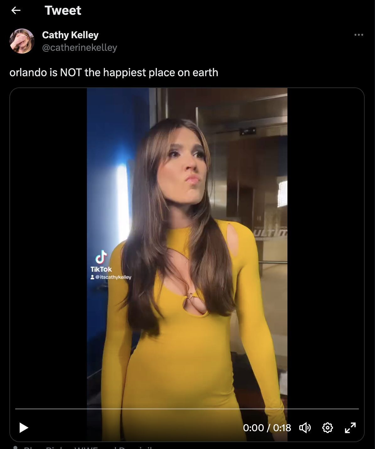 A screengrab of Kelley&#039;s video