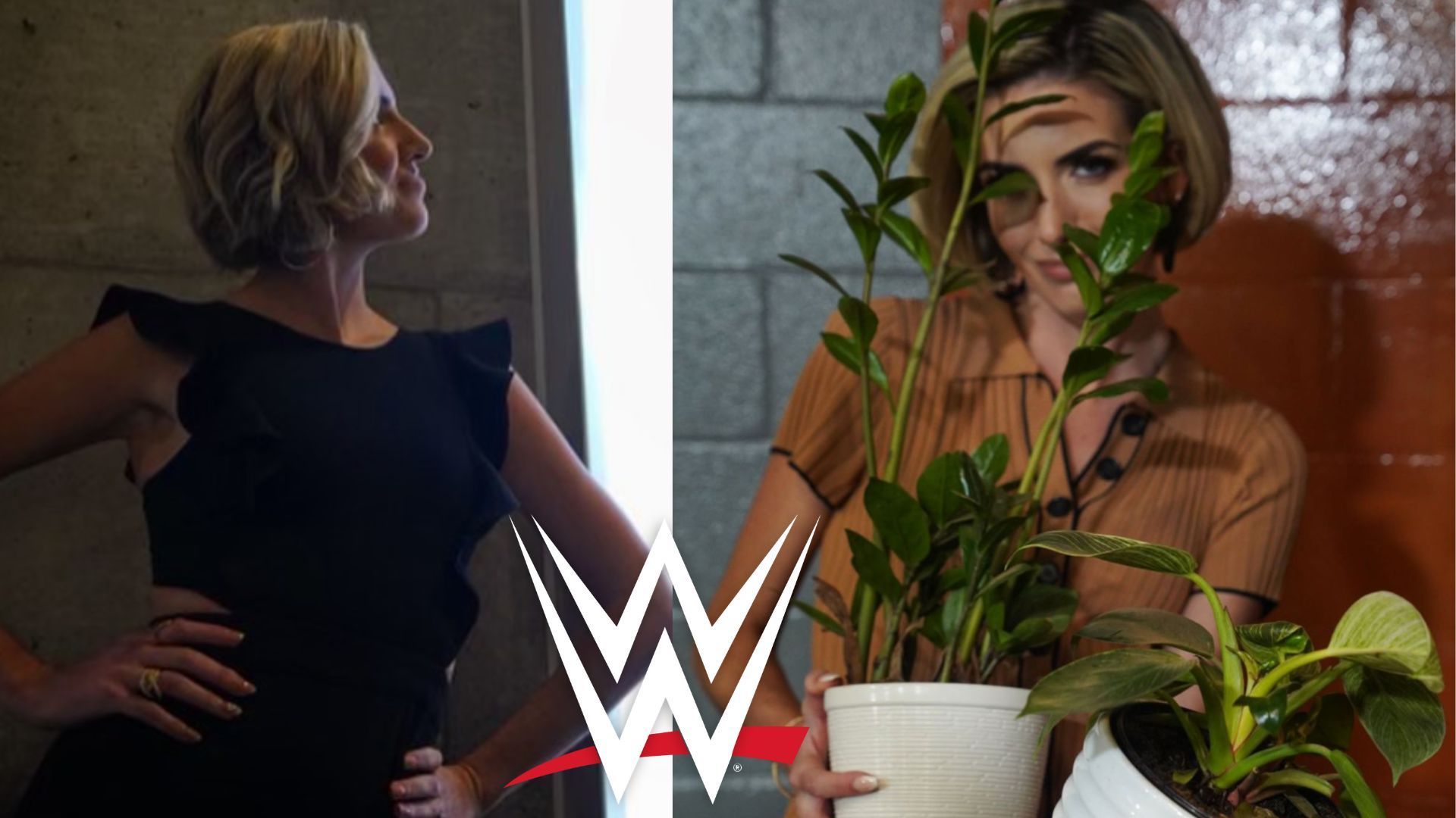 Details regarding recent procedure WWE star underwent