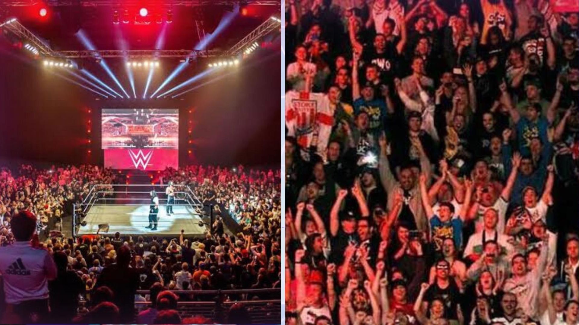 WWE is one of the biggest Wrestling promotion