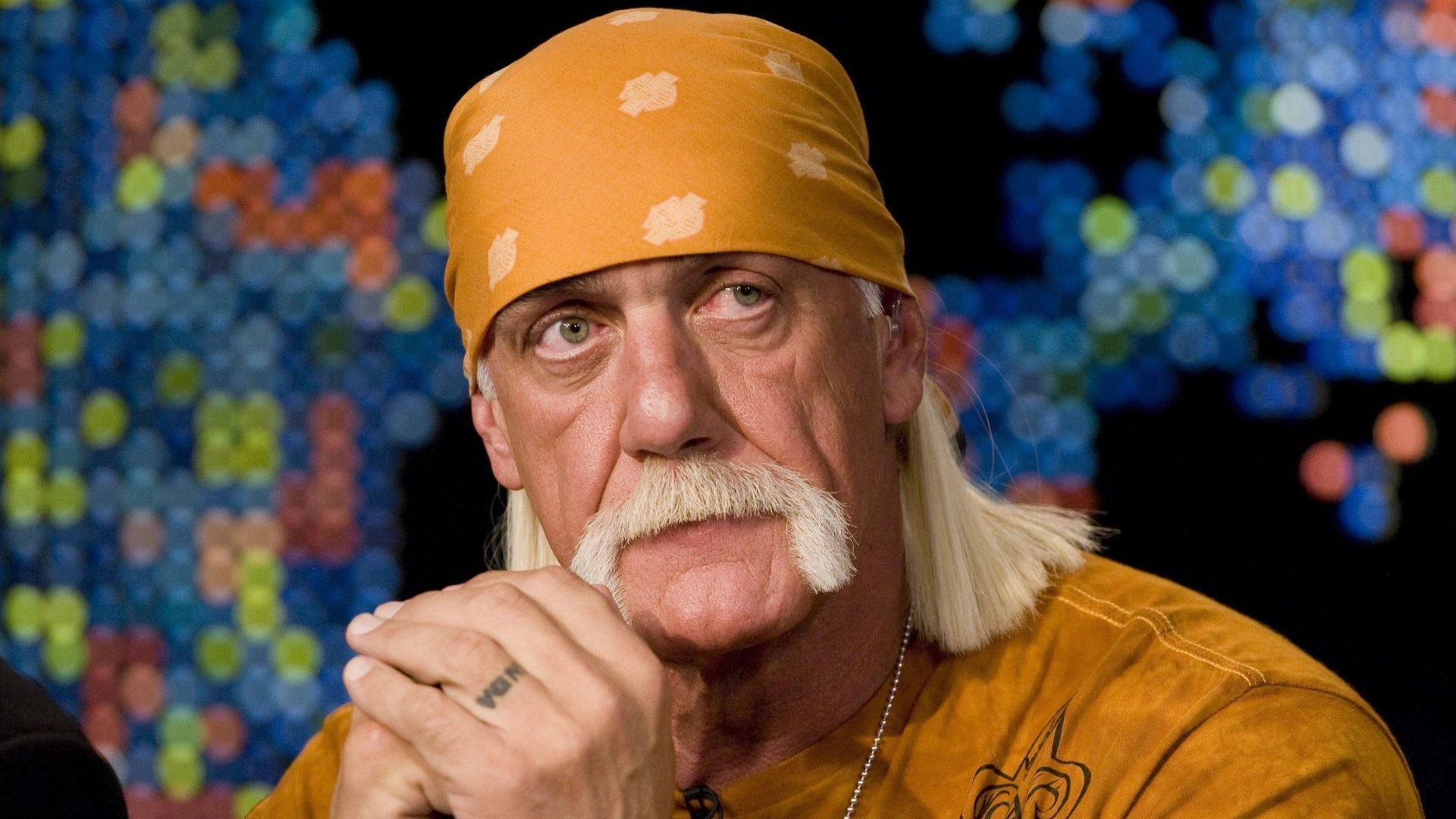 Hulk Hogan is a WWE Hall of Famer!