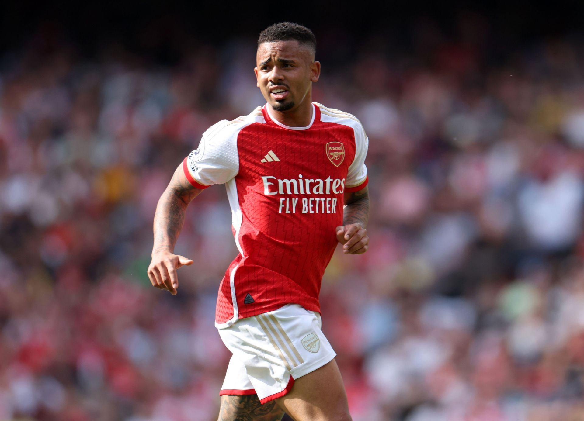 Arsenal FC v Wolverhampton Wanderers - Premier League