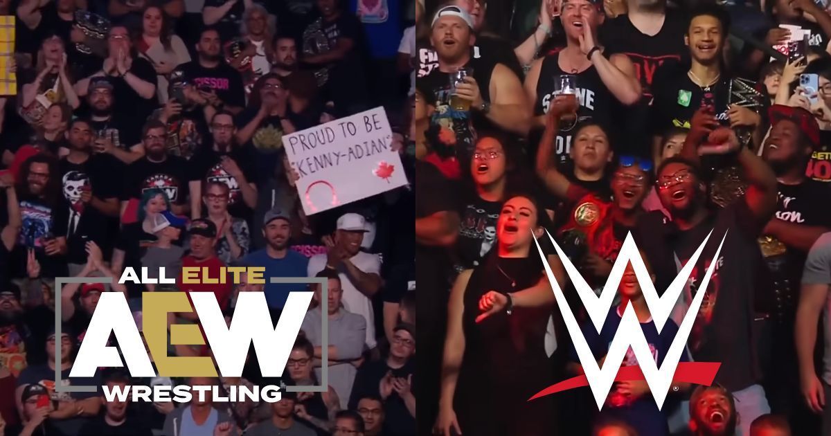 The WWE and AEW fanbase are more alike than you think.