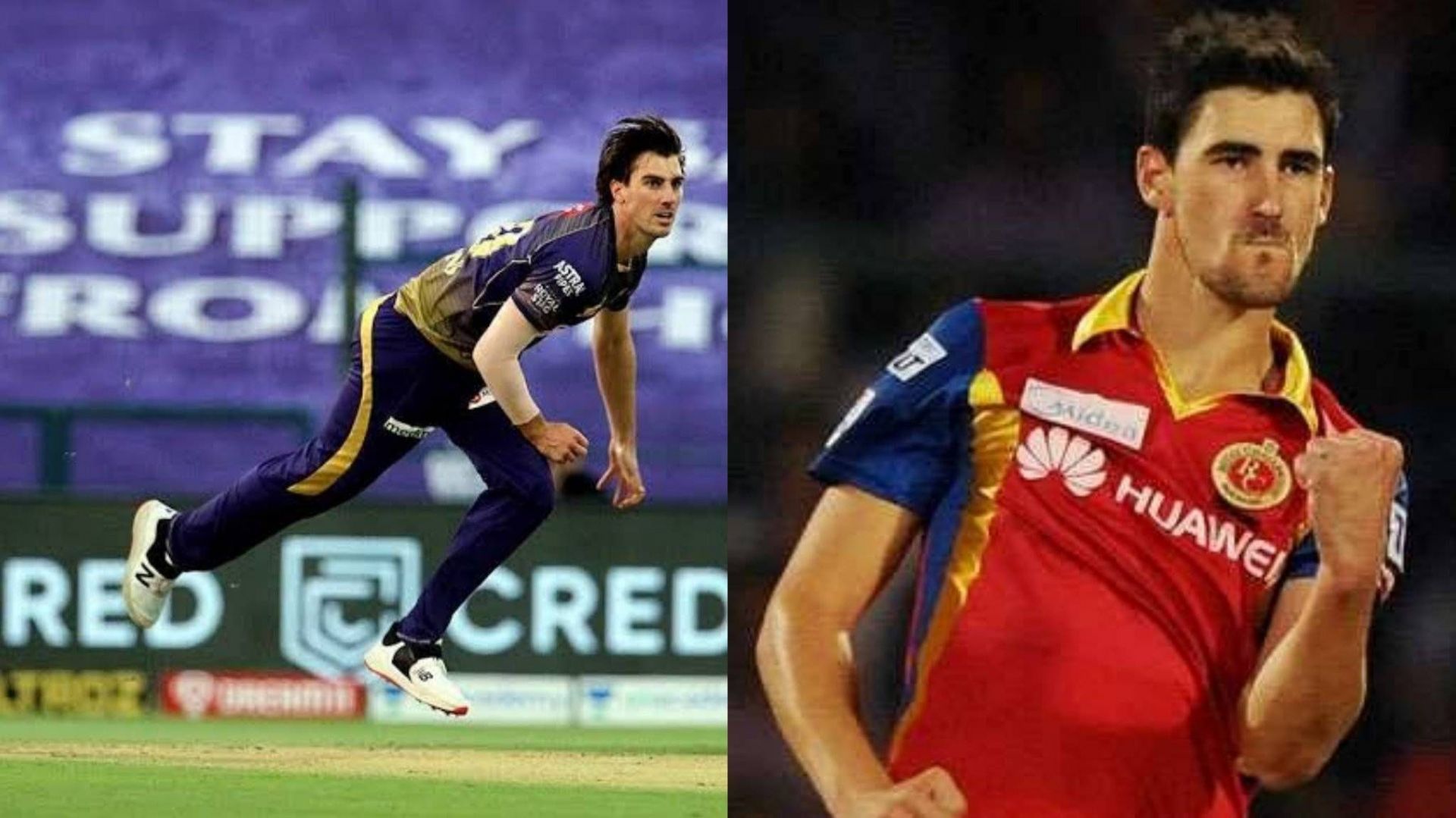 Mitchell Starc and Pat Cummins should return to IPL in 2024