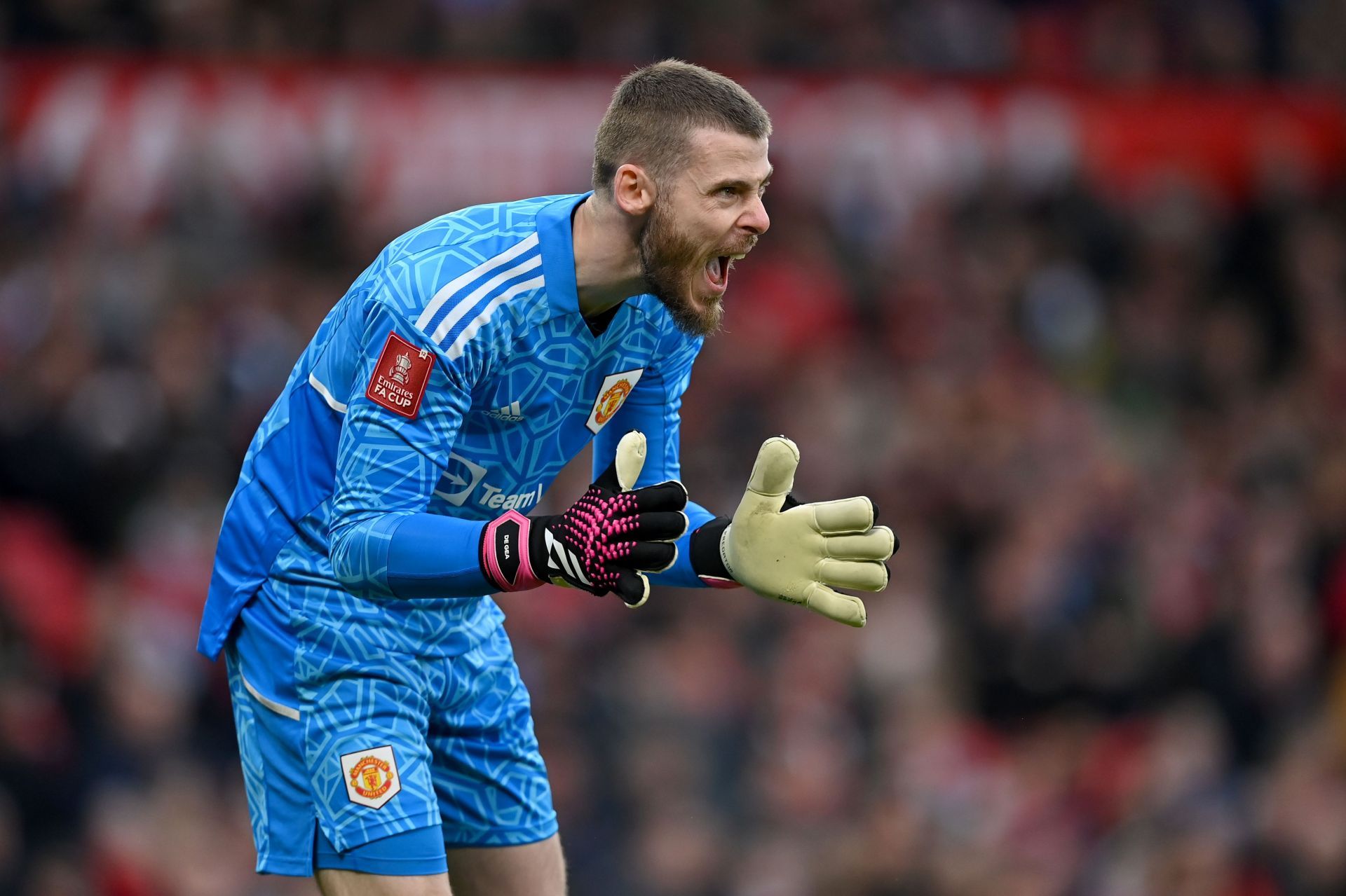 Manchester United v Fulham: Emirates FA Cup Quarter Final