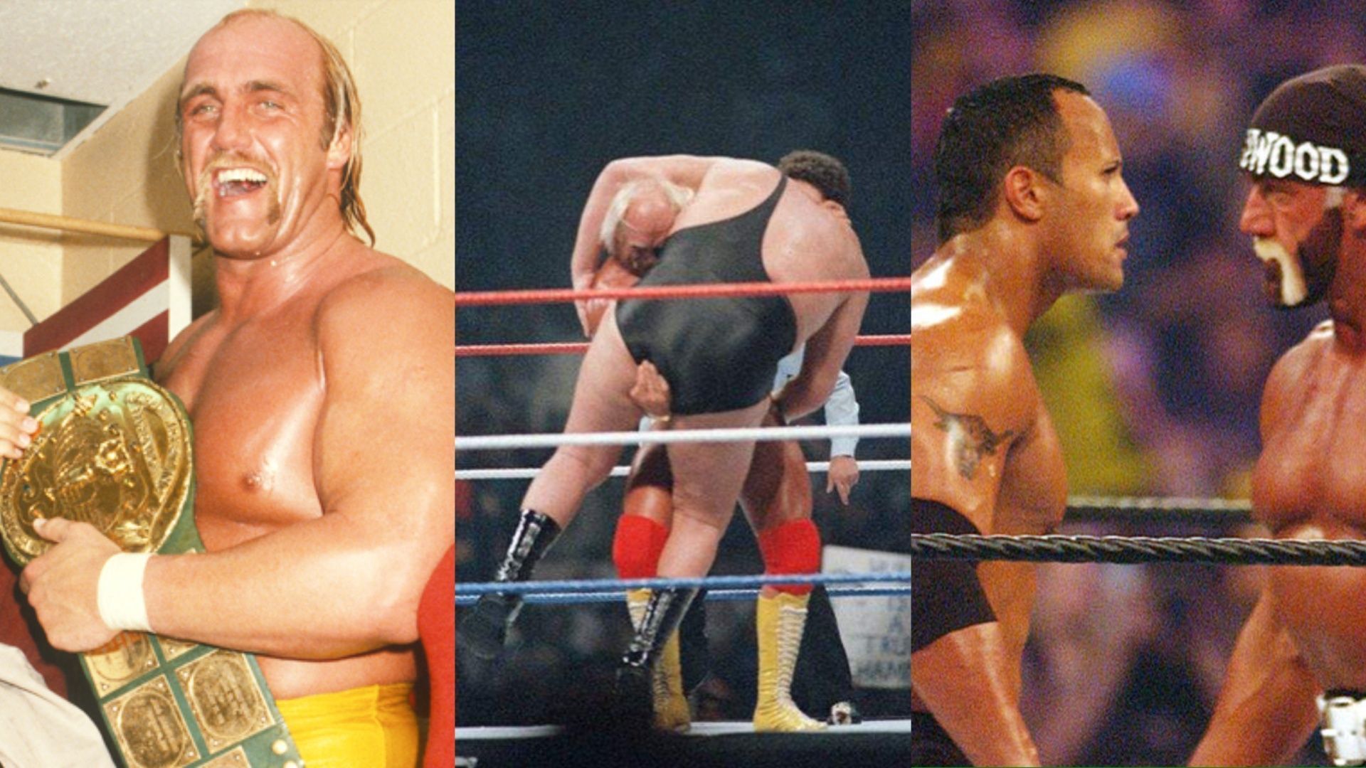 Hulk Hogan is one of pro wrestling