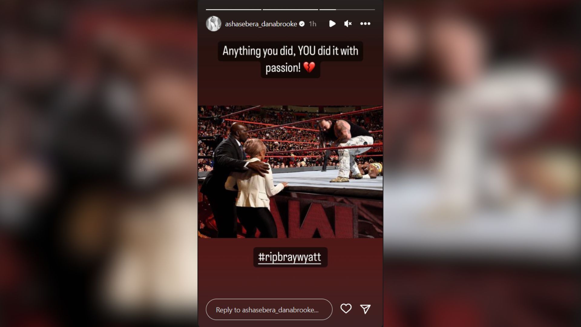 Screenshot of Dana Brooke&#039;s Instagram story.