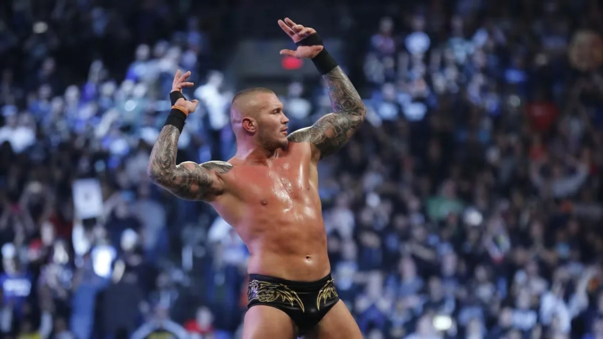 randy orton sheamus wwe