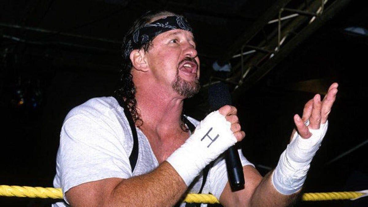 WWE Hall of Famer Terry Funk