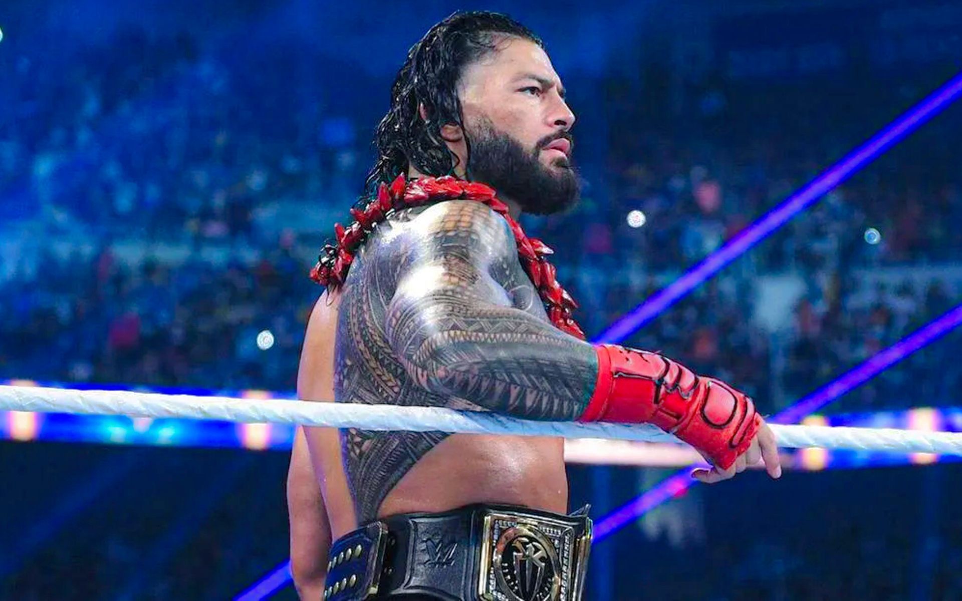 Roman Reigns is your current Undisputed Champion in WWE.