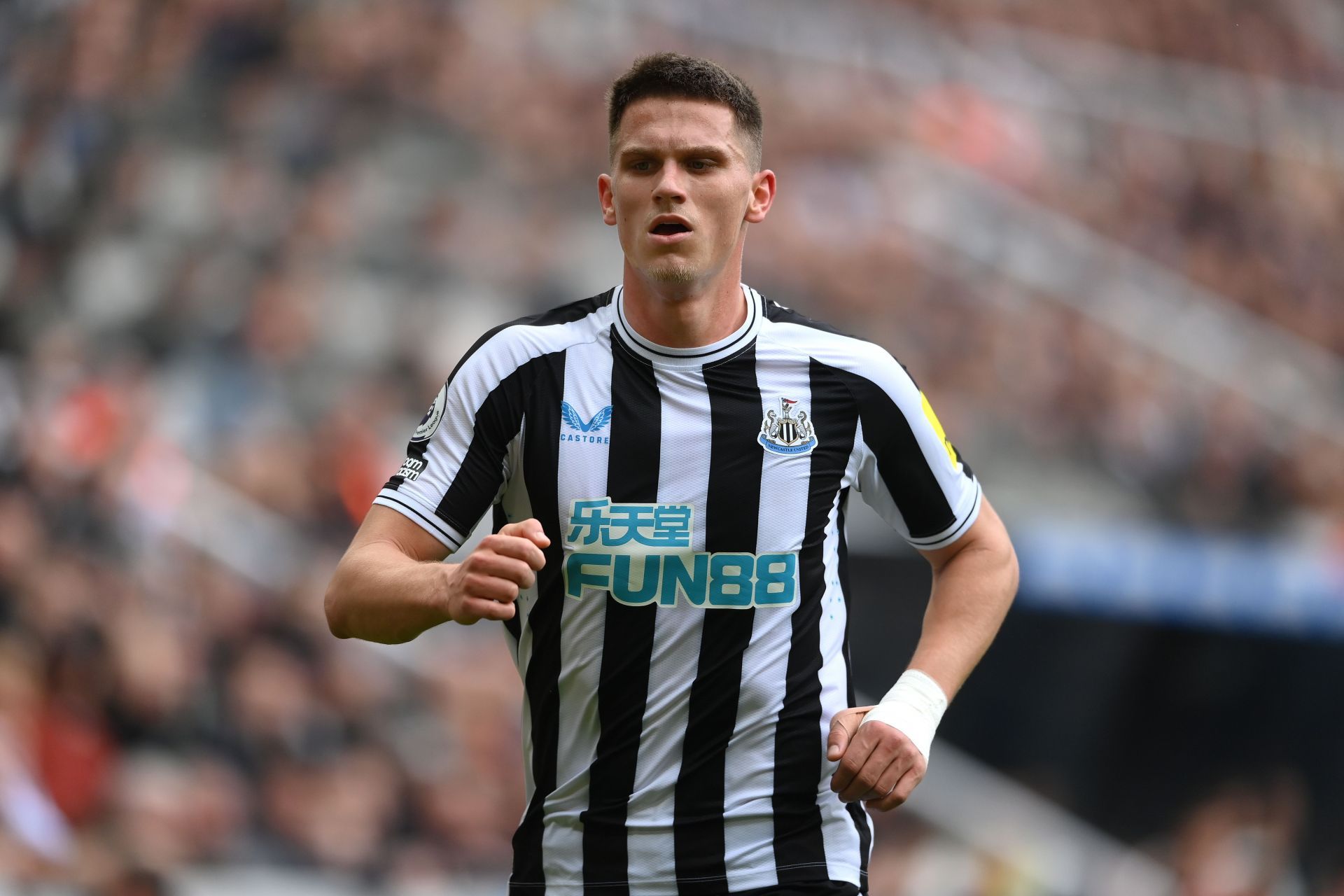 Newcastle United v Southampton FC - Premier League