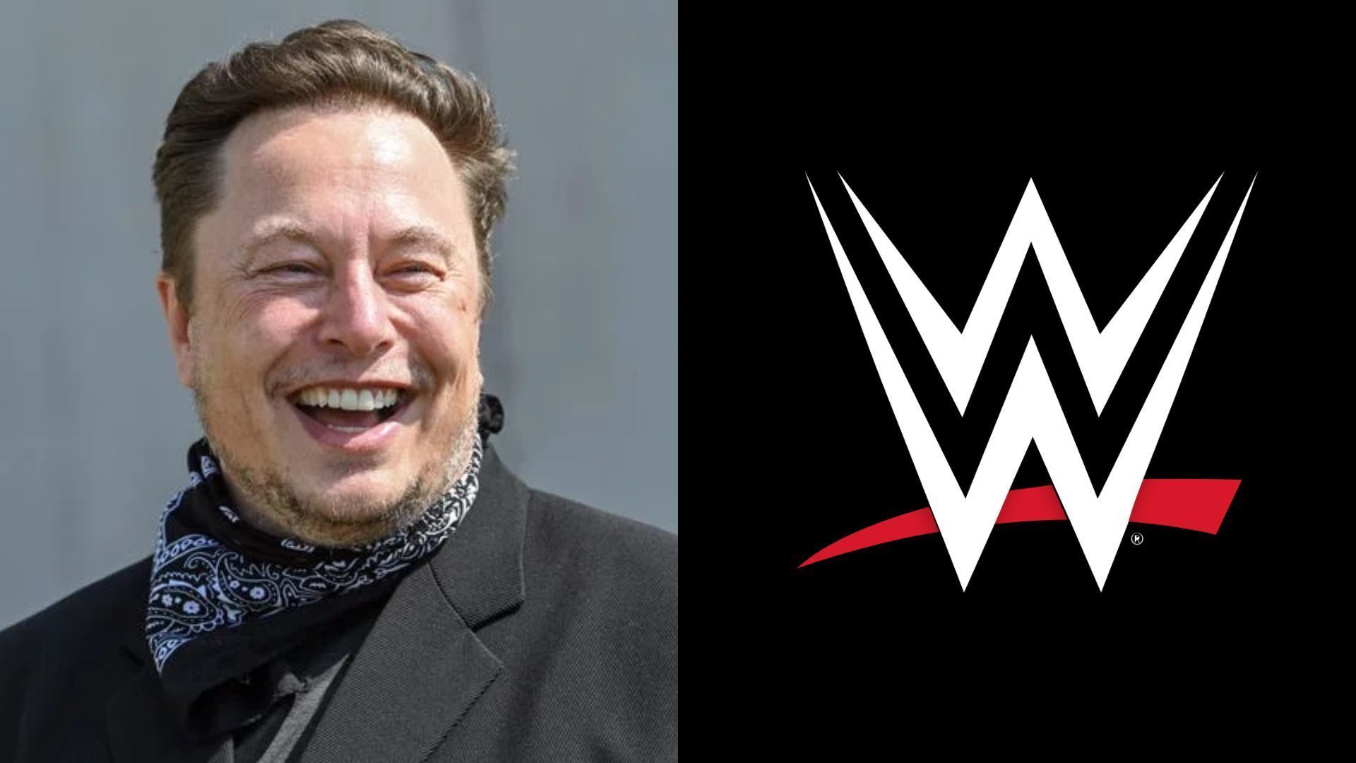 Will Elon Musk appear on WWE TV?