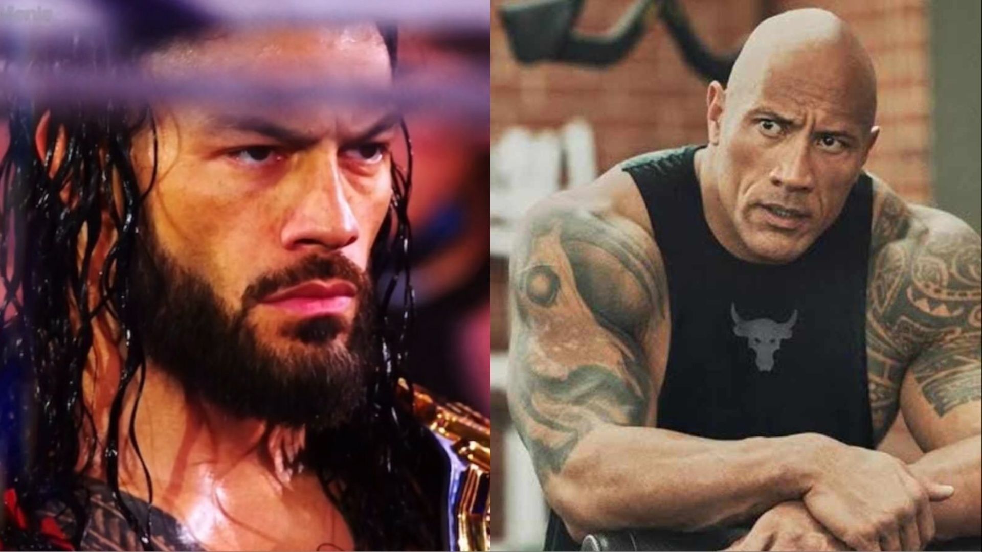 Roman Reigns and The Rock have not crossed paths in years.