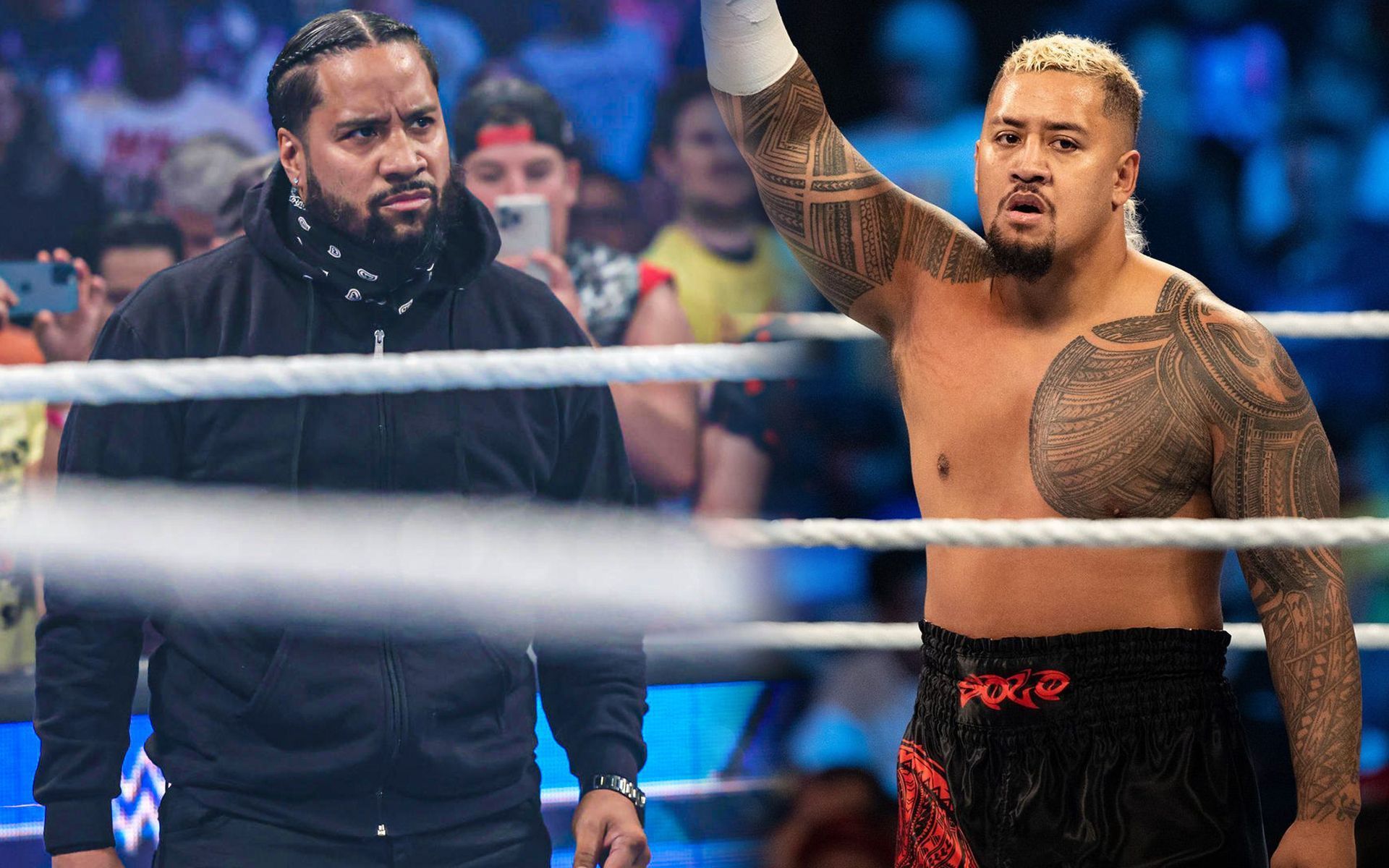 Solo Sikoa is likely to appear on WWE television despite Roman&#039;s absence