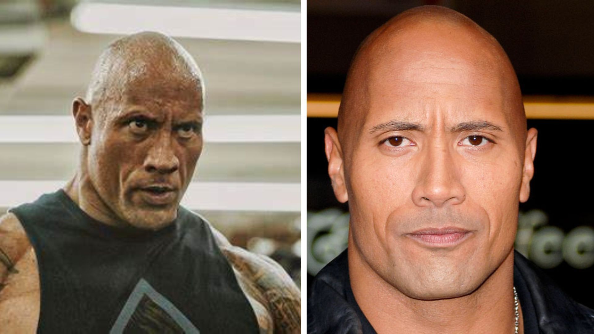 The Rock is a former WWE Champion