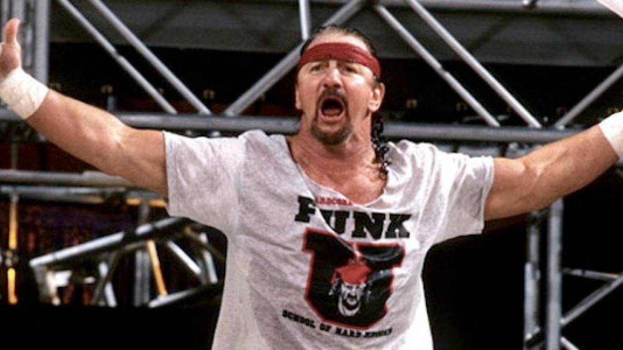 Terry Funk is a WWE Hall of Famer.