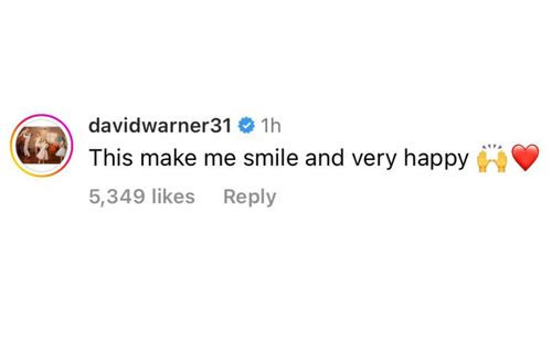 Screenshot of David Warner's comment.