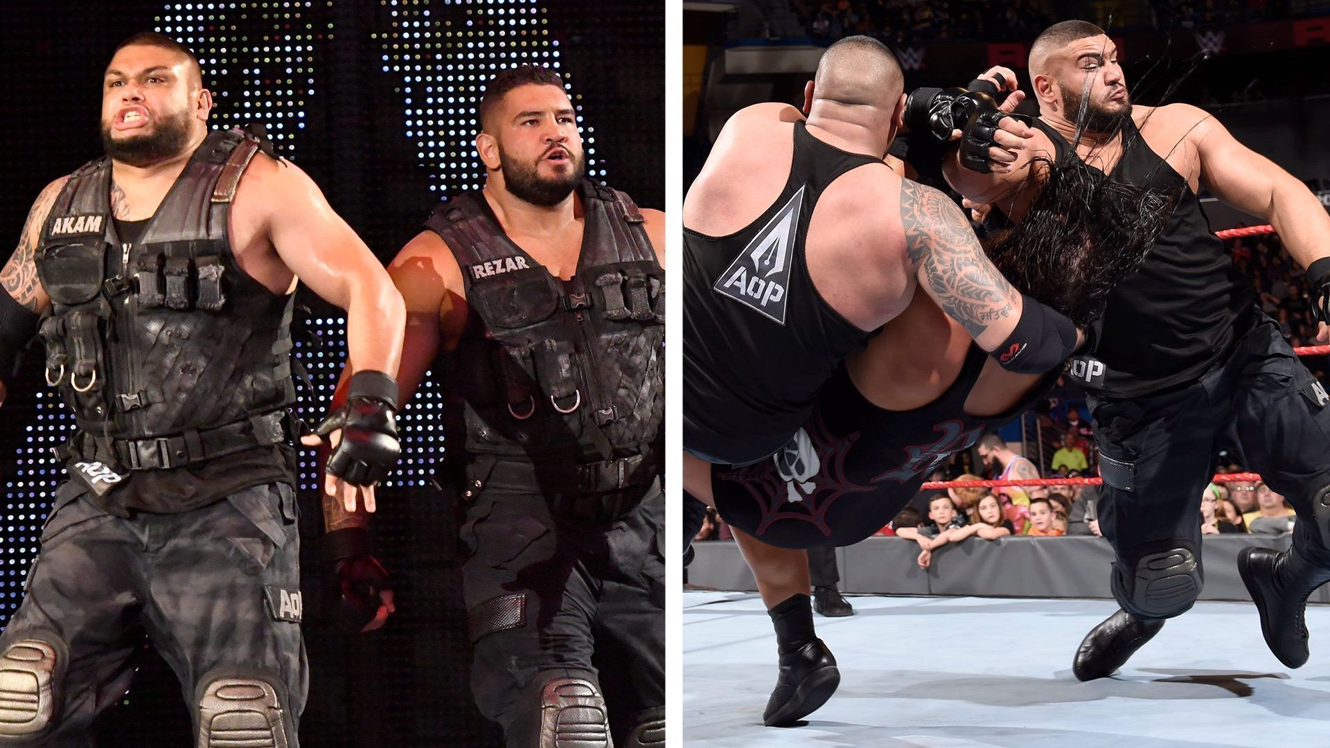 The Authors of Pain may be returning to WWE programming