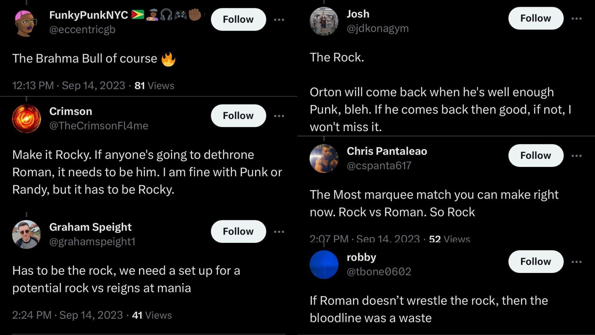 Fan reaction to the Rock possible facing Reigns