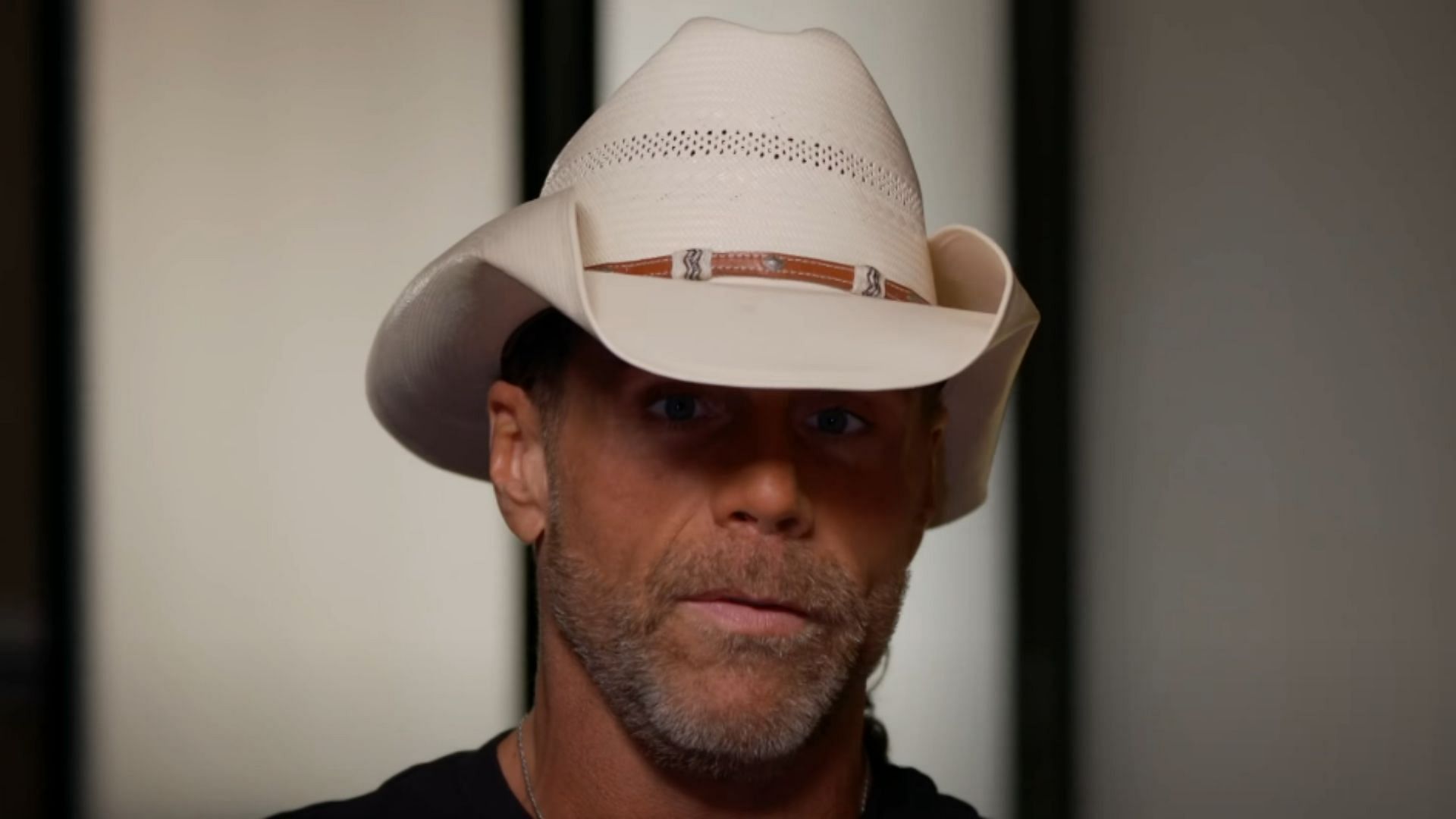 Shawn Michaels is widely viewed as one of WWE