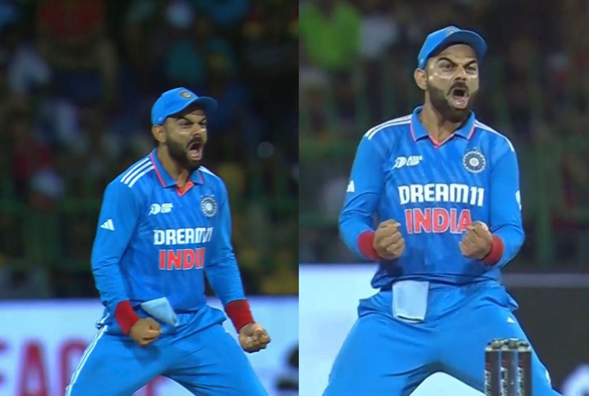 Virat Kohli celebrating animatedly after Siraj