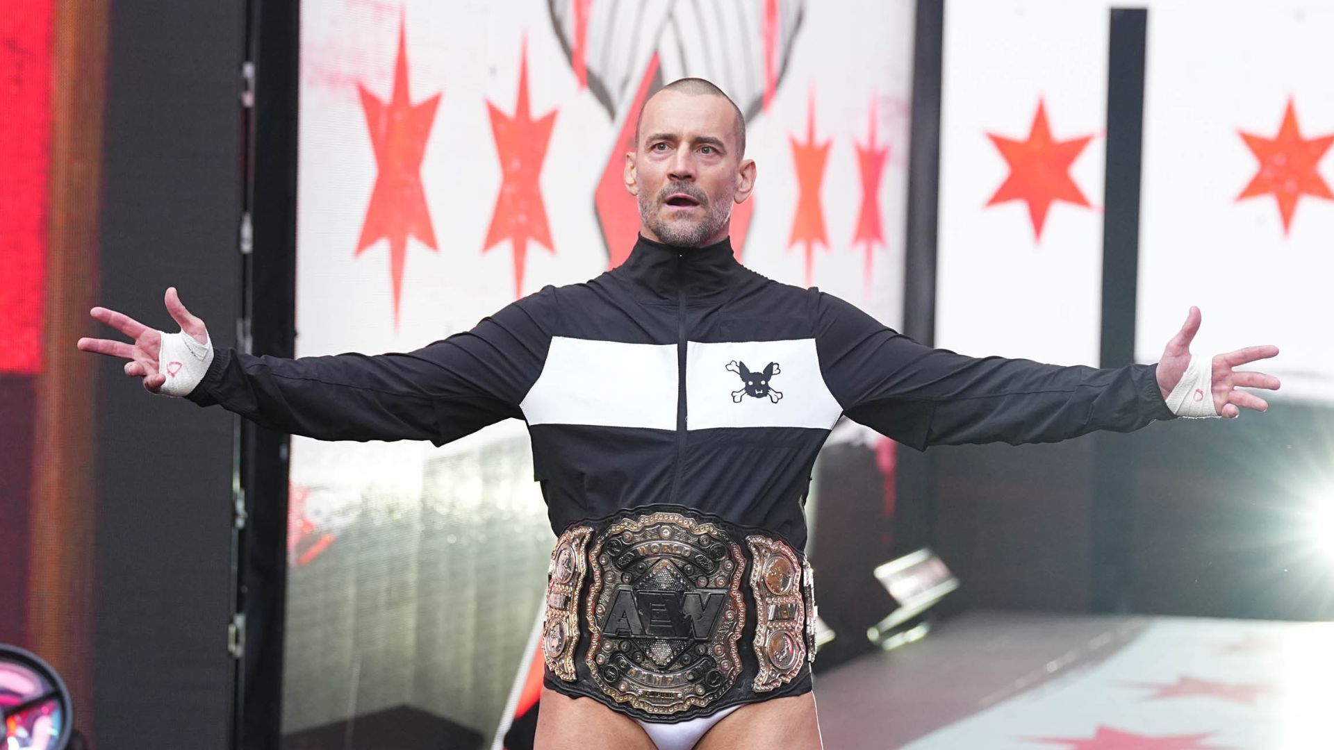 CM Punk is a former WWE Champion!