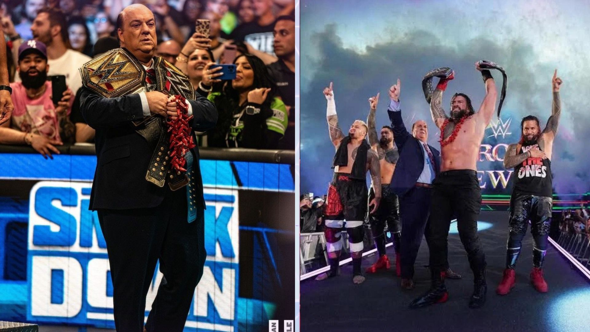 Paul Heyman is a member of the Bloodline