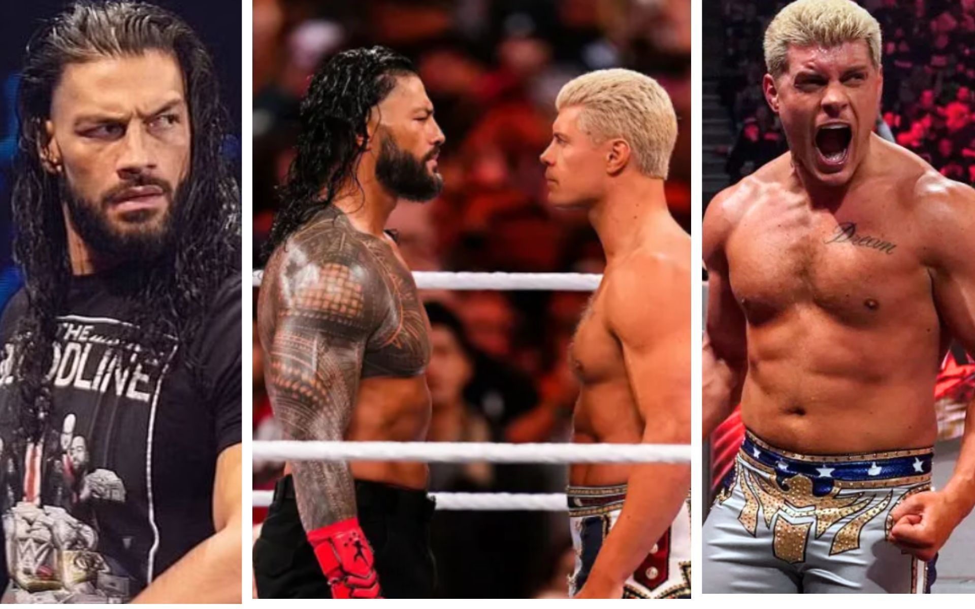 Cody Rhodes and Roman Reigns could be looking to face each other again in WWE