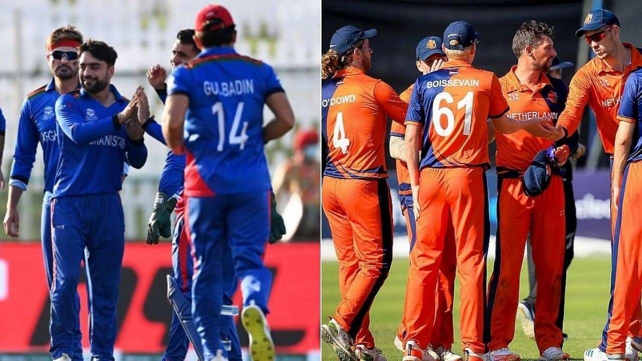 460bb443-afg-vs-ned-doha-odi.jpg (1280&times;720)