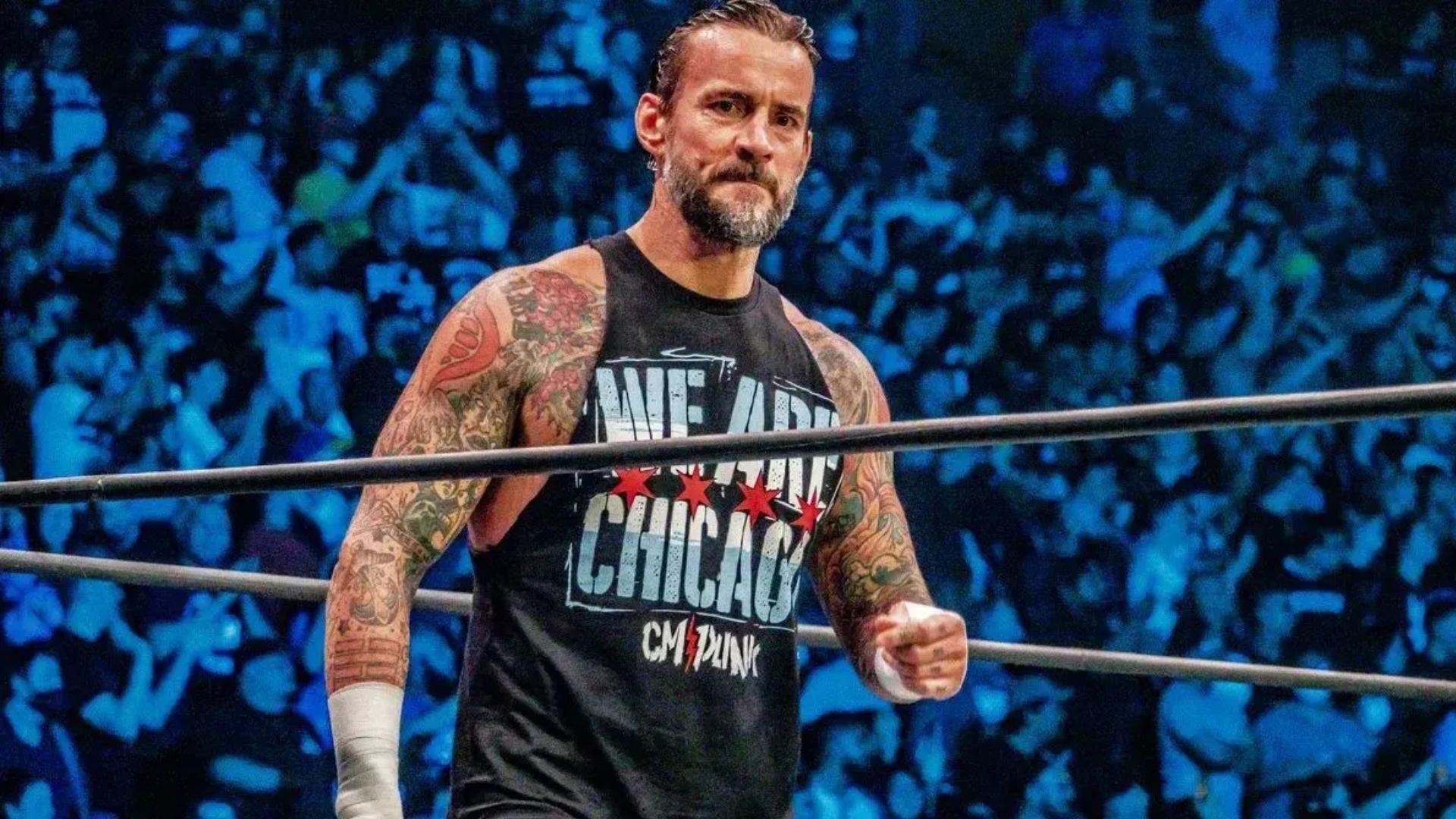 cm punk wwe return