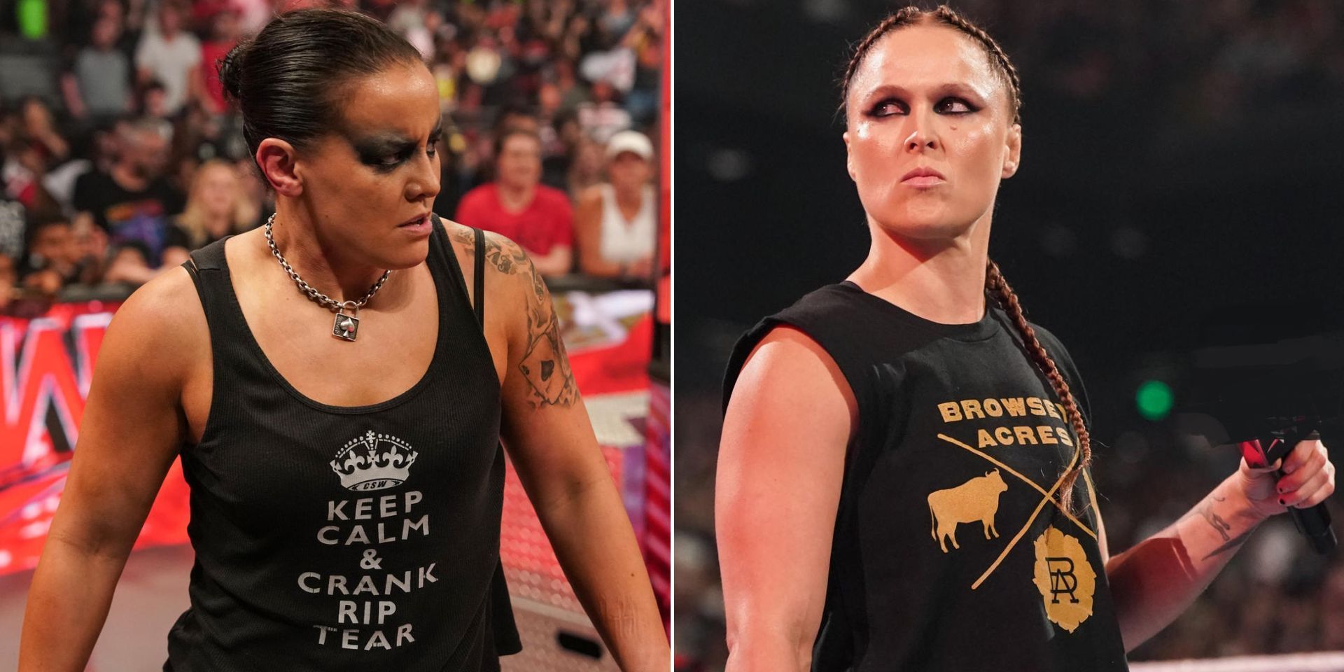 Shayna Baszler took a shot at Ronda Rousey on RAW