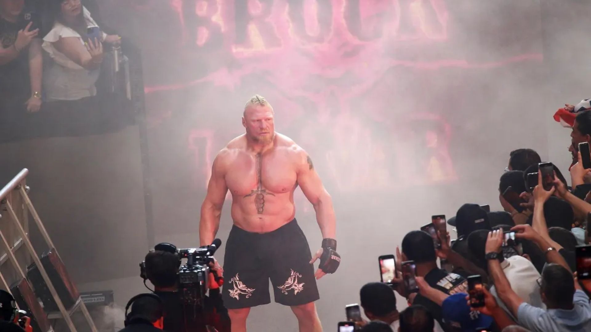 brock lesnar rights wwe