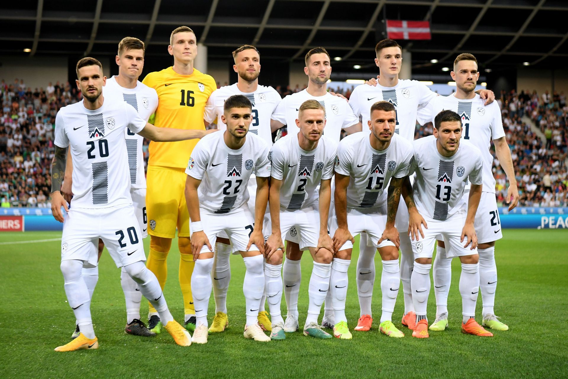 Slovenia v Denmark: Group D - UEFA EURO 2024 Qualifying Round