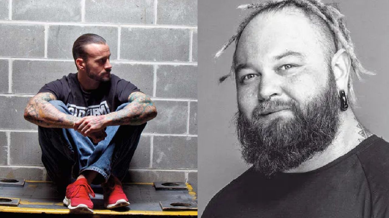 CM Punk (left); Bray Wyatt (right)